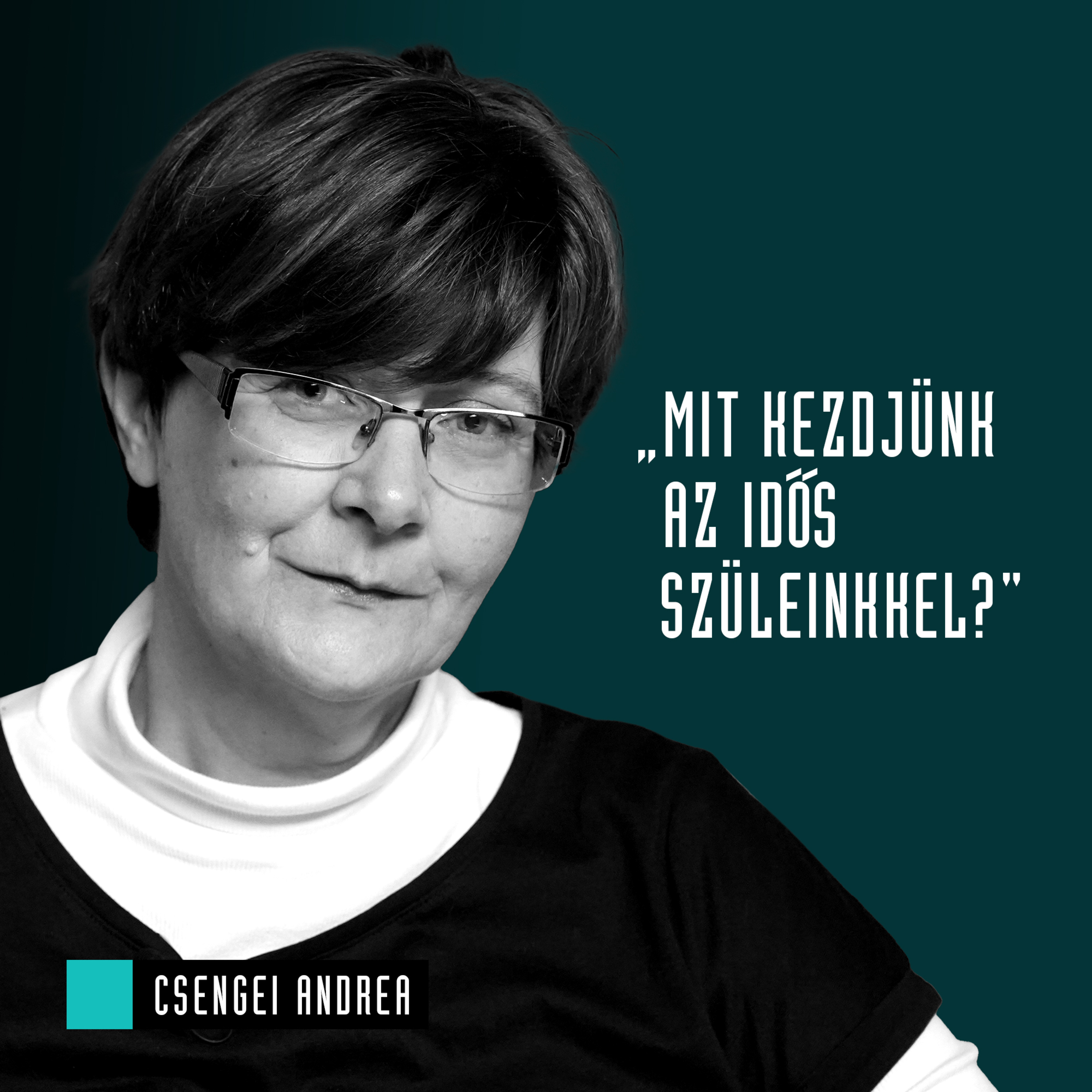 Mozinet Nagylátószög