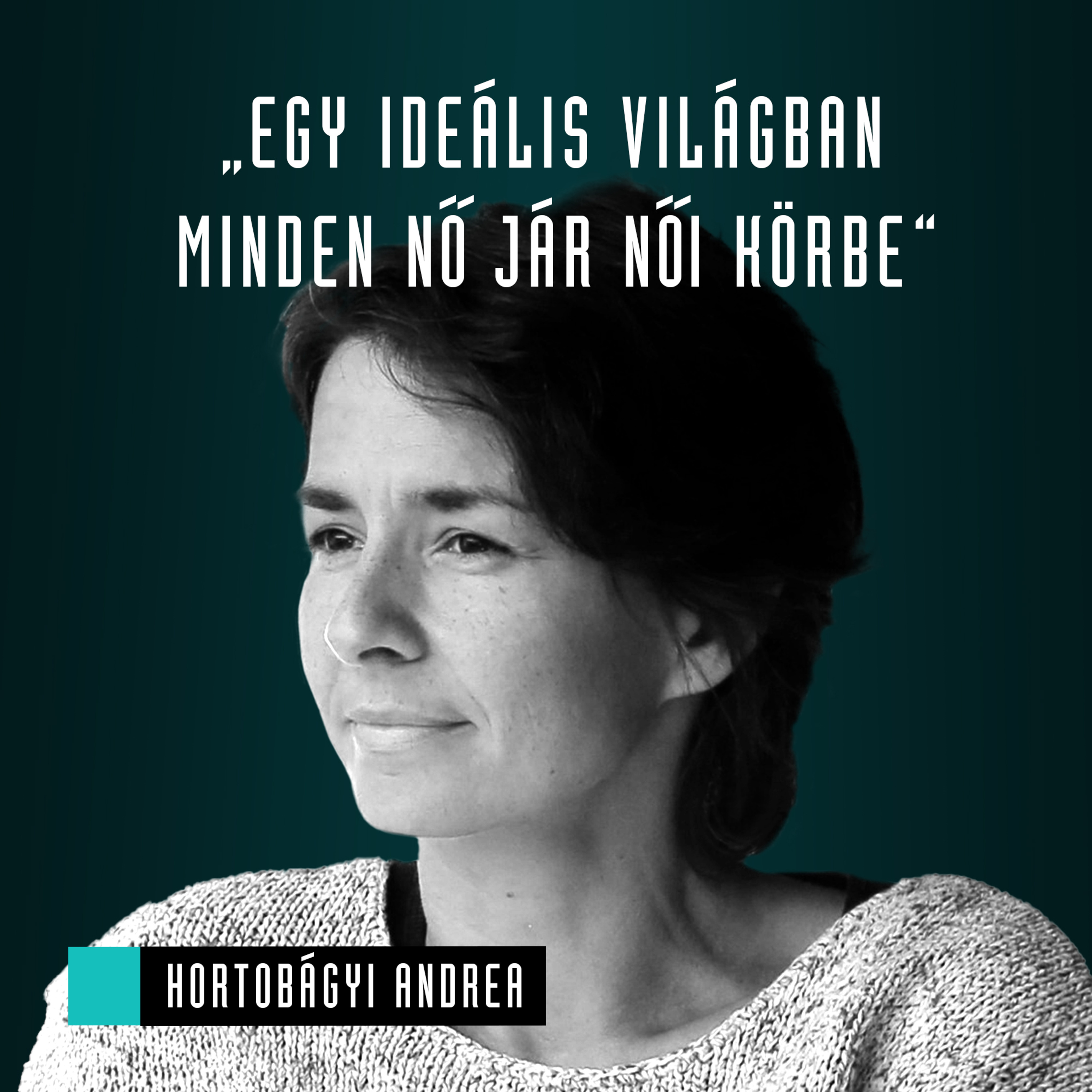 Mozinet Nagylátószög