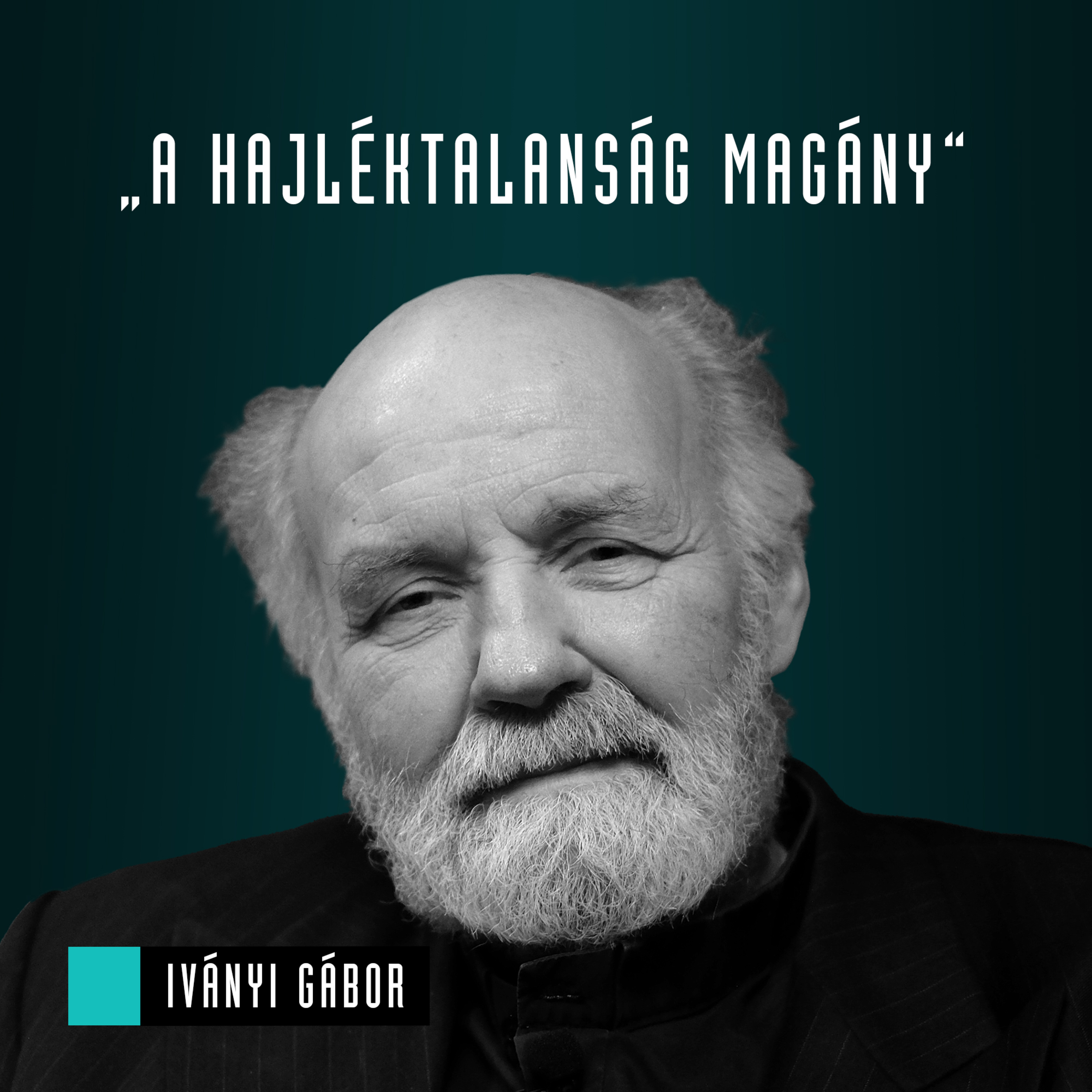 Mozinet Nagylátószög