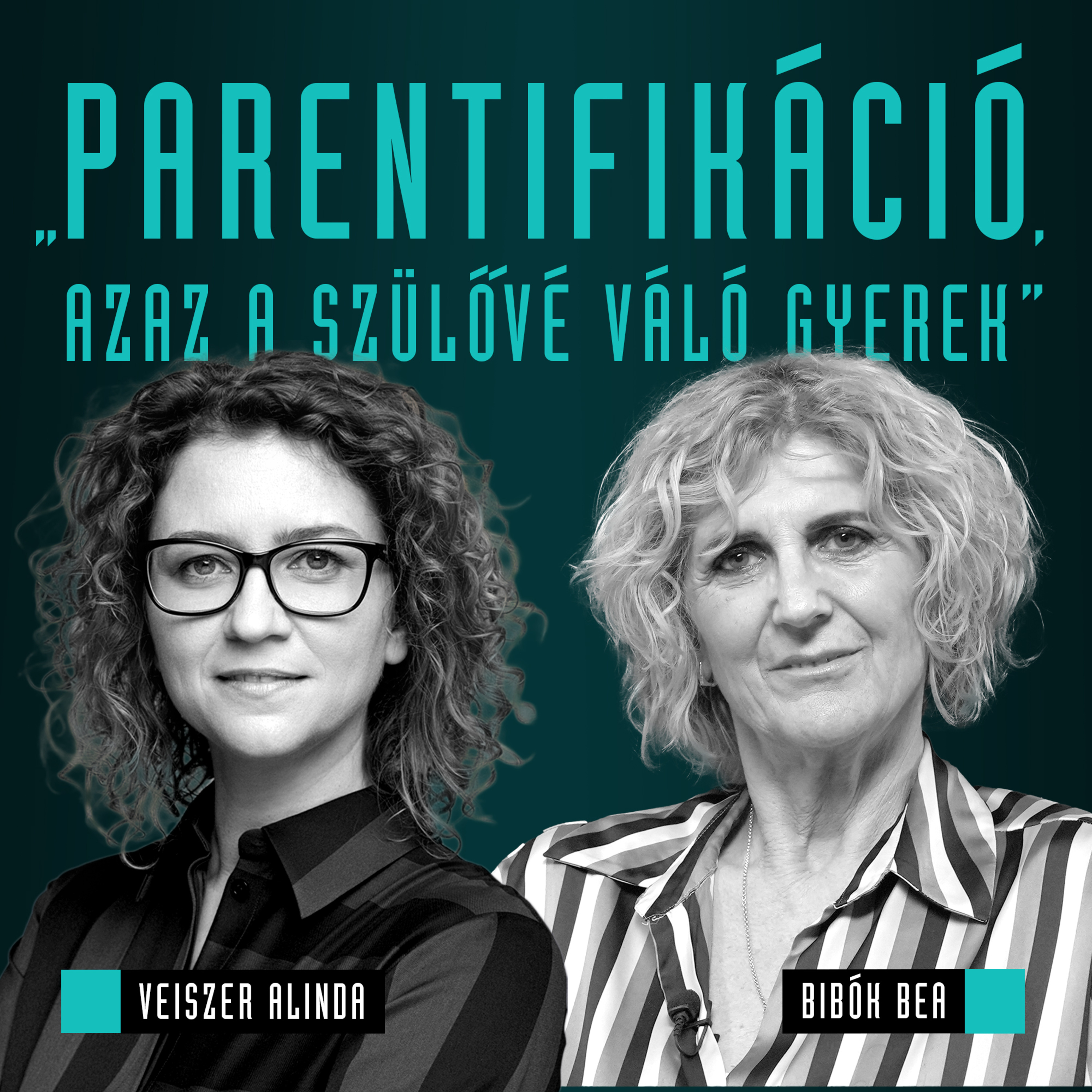 Mozinet Nagylátószög