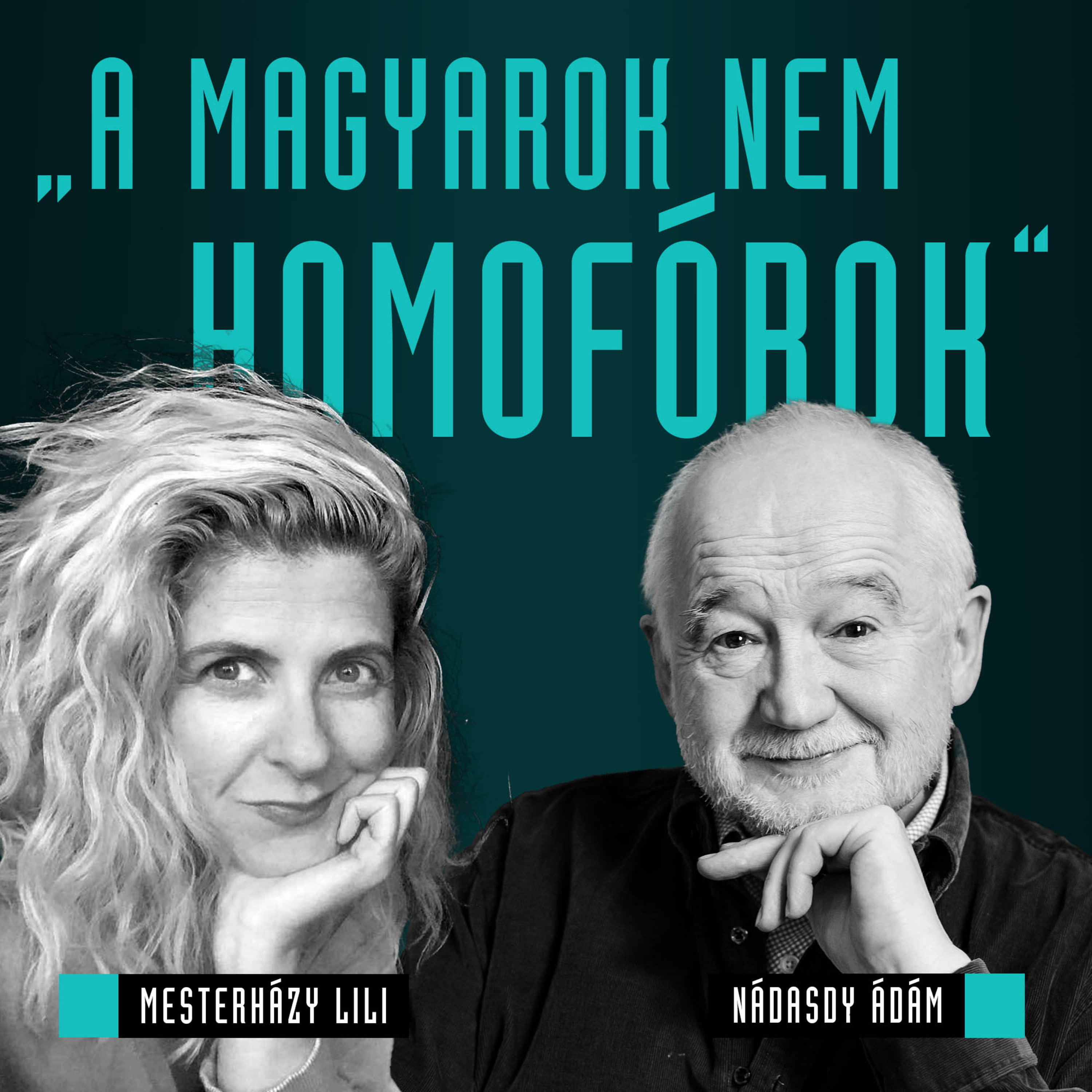 Mozinet Nagylátószög