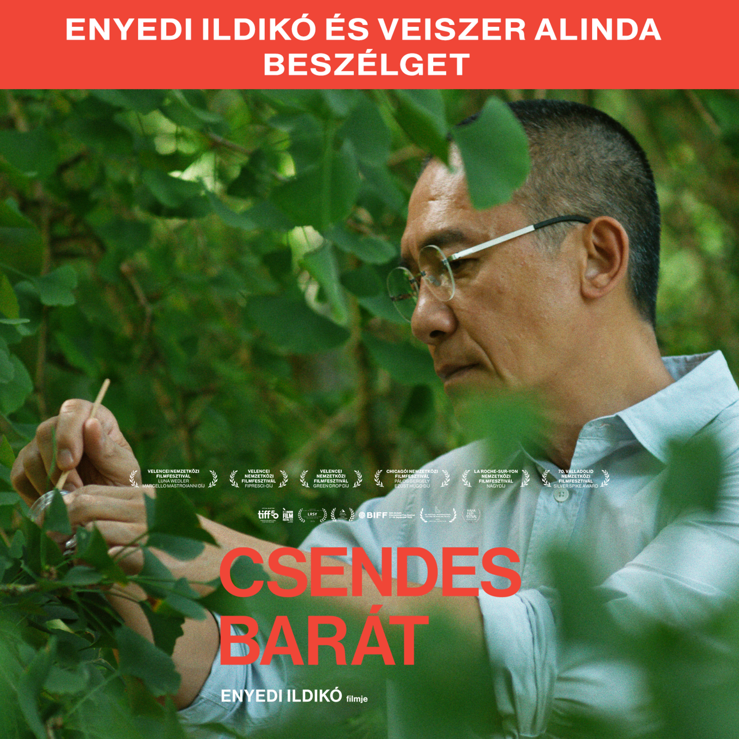 Mozinet Nagylátószög