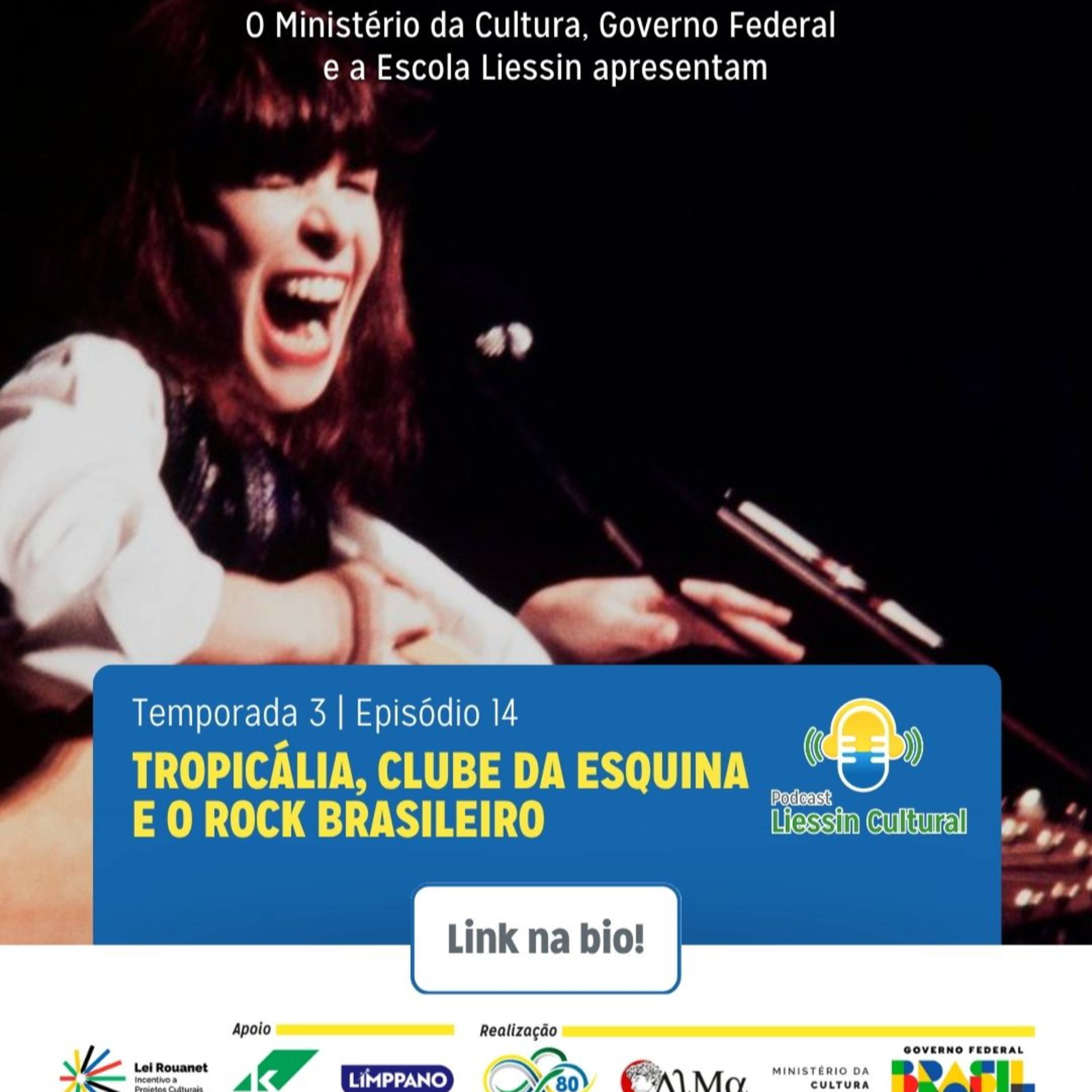 Liessin Cultural