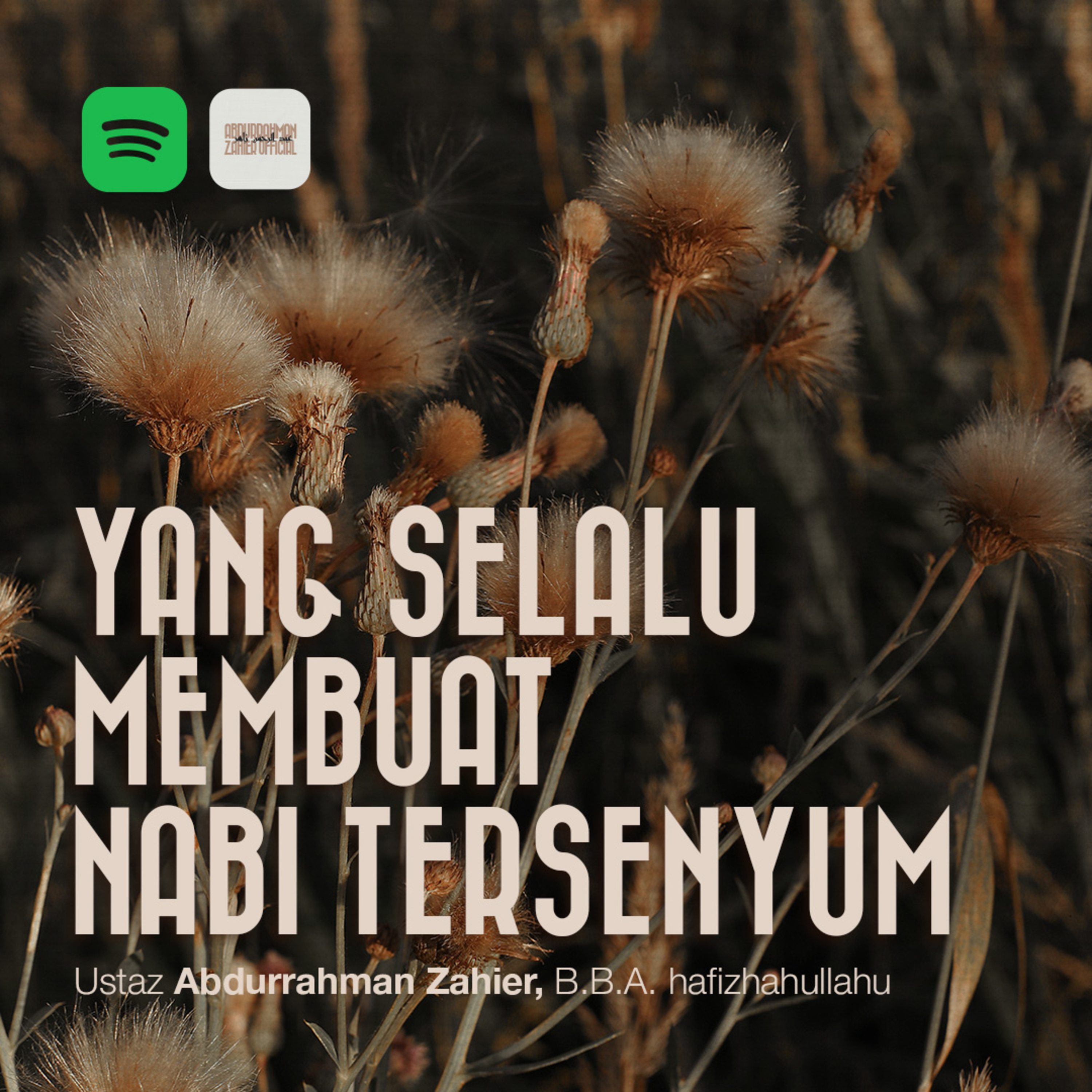 Yang Selalu Membuat Nabi Tersenyum episode artwork