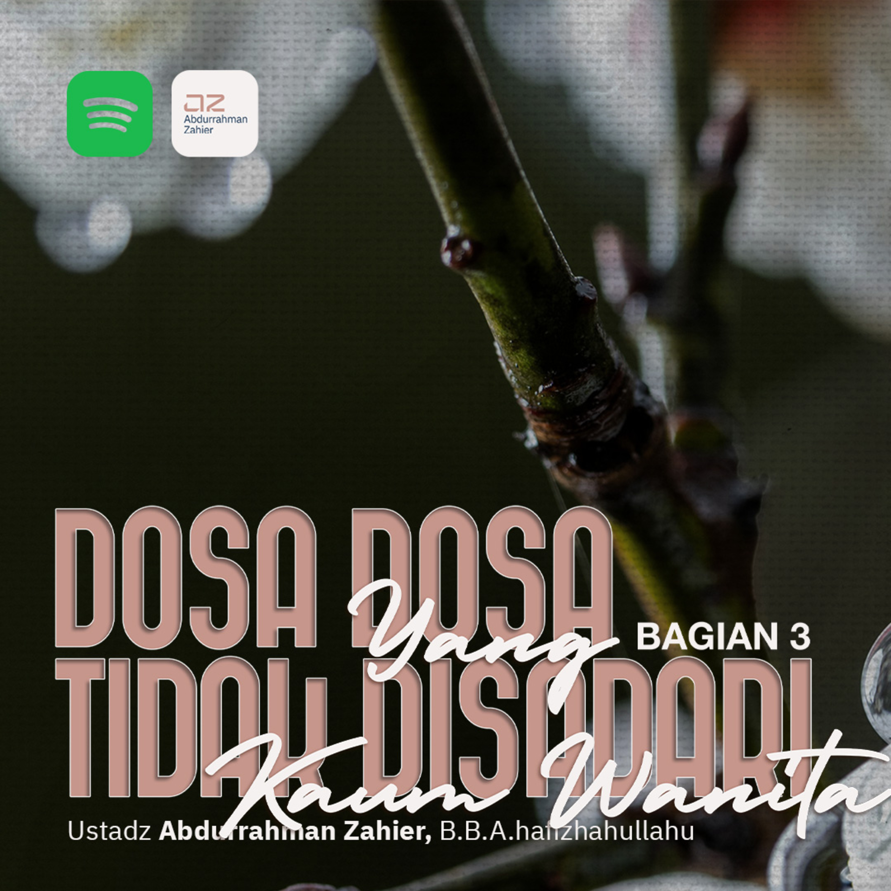 Dosa Dosa Yang Tidak Disadari Kaum Wanita bagian 3 episode artwork