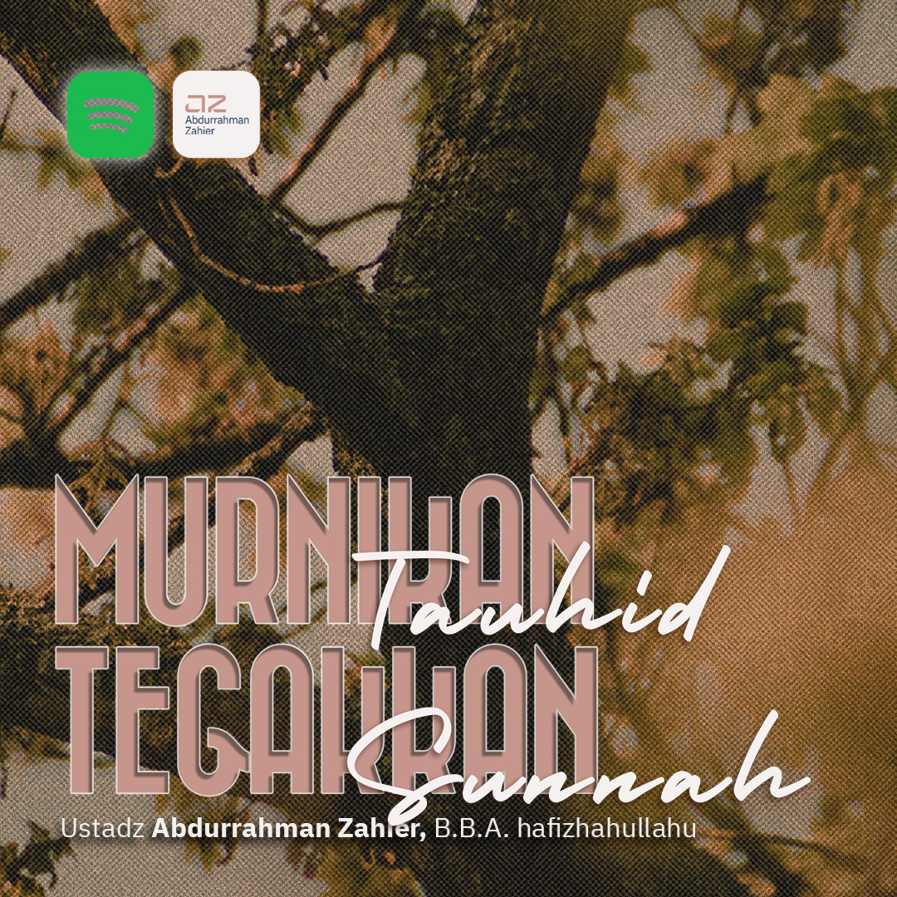 Murnikan Tauhid, Tegakkan Sunnah episode artwork
