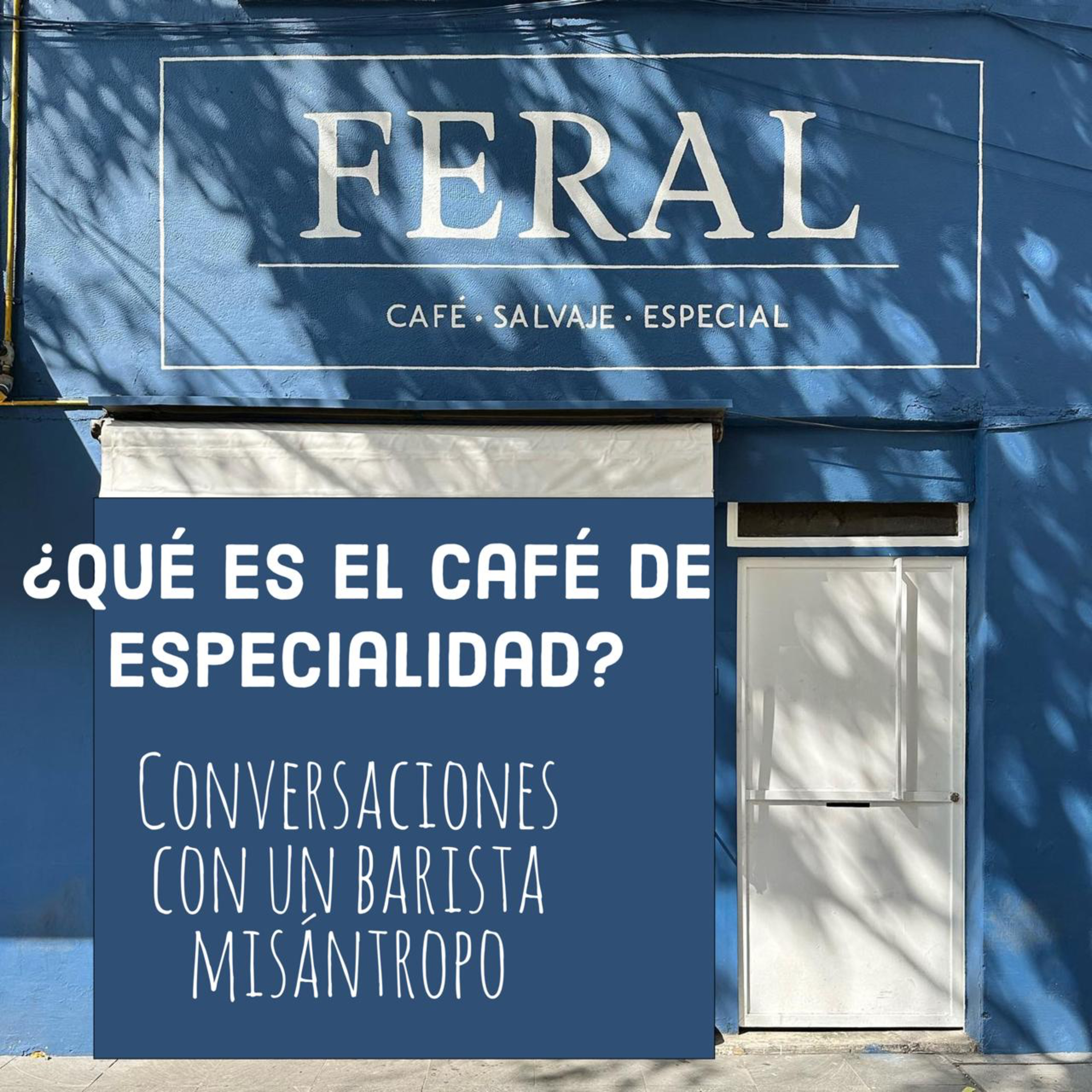 Conversaciones con un Barista misántropo