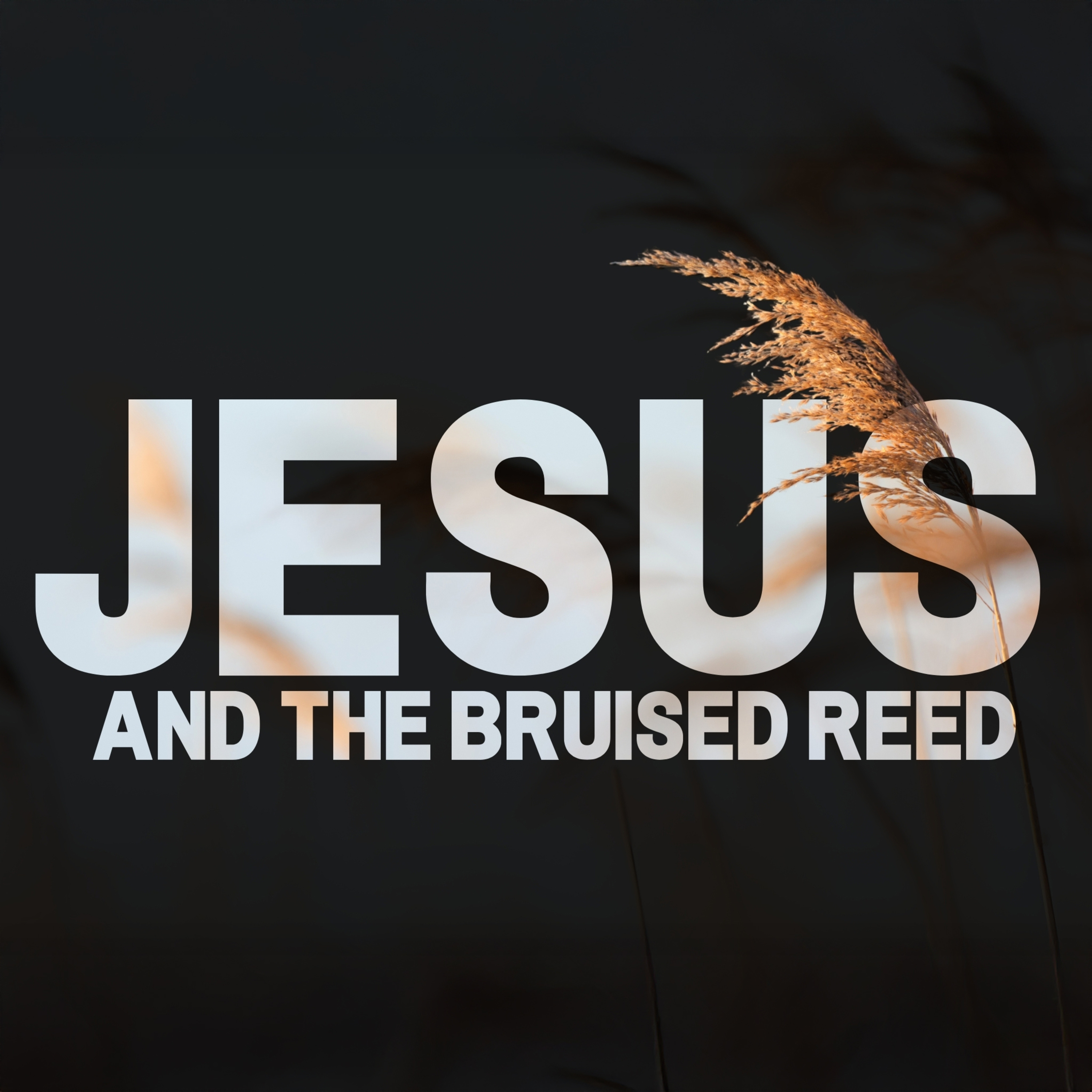 E51: Jesus and the Bruised Reed episode artwork