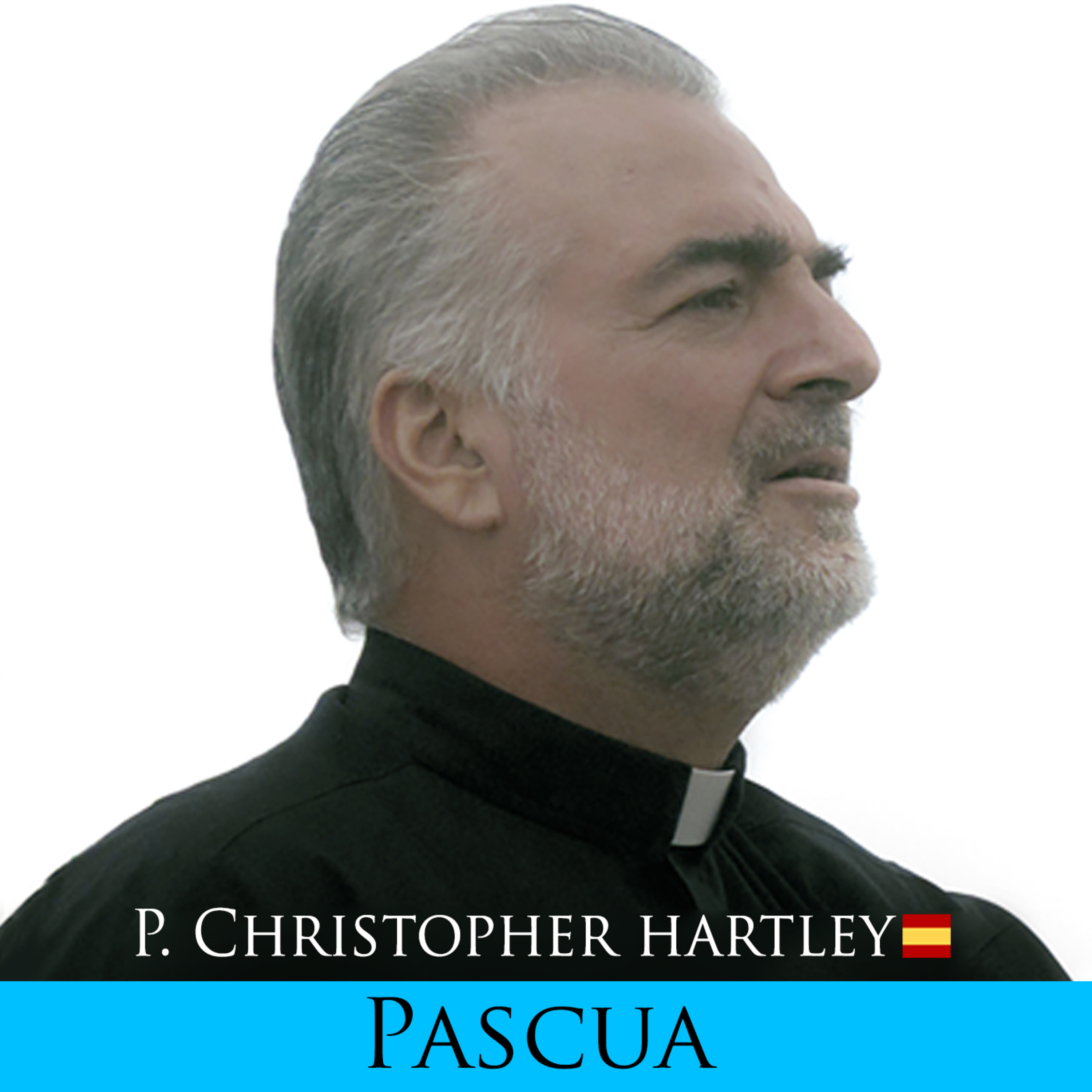 Padre Christopher Hartley | Reflexión del Evangelio del Día 🇪🇸