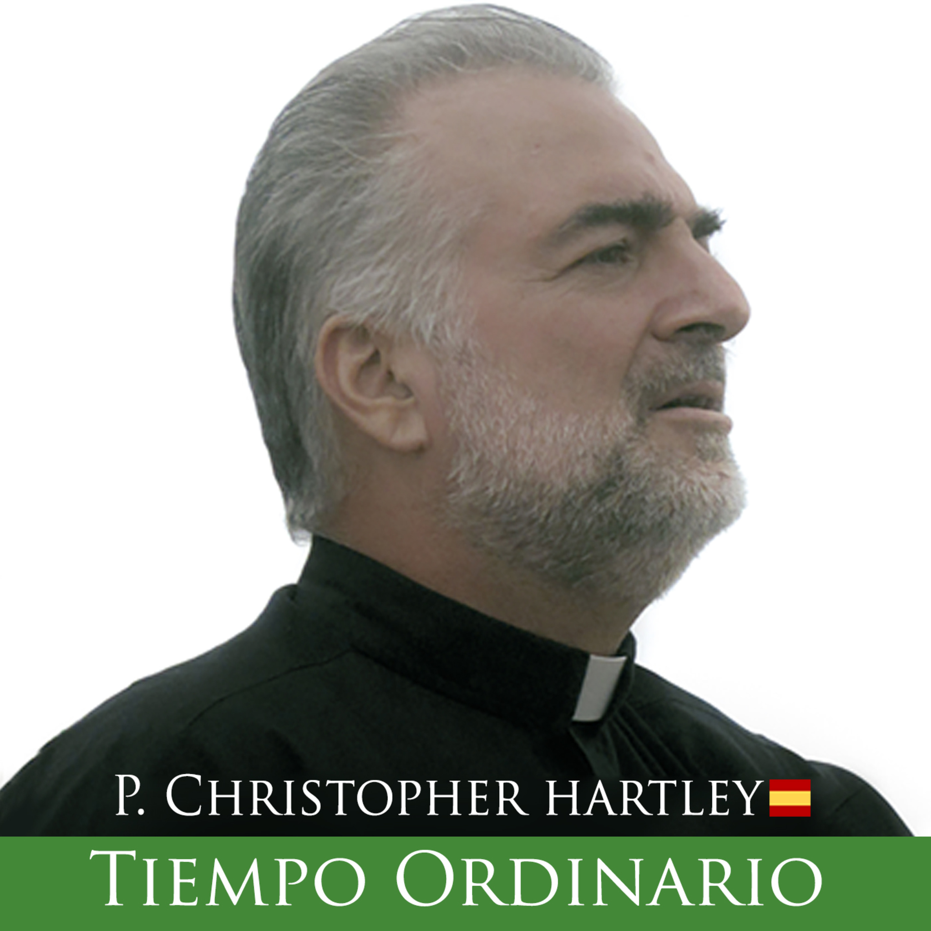 Portada de Padre Christopher Hartley | Reflexión del Evangelio del Día 🇪🇸