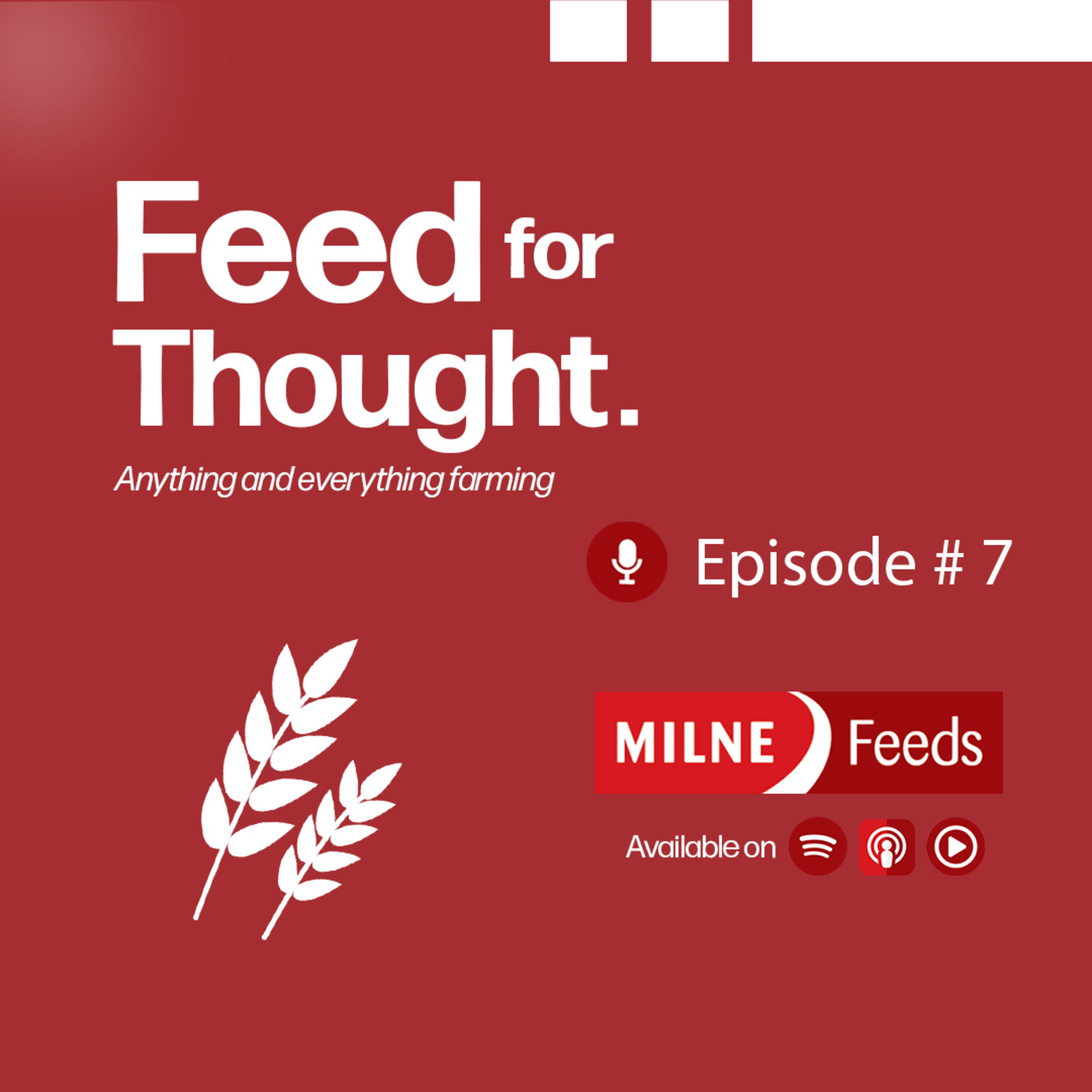 7: Lana Vello episode artwork