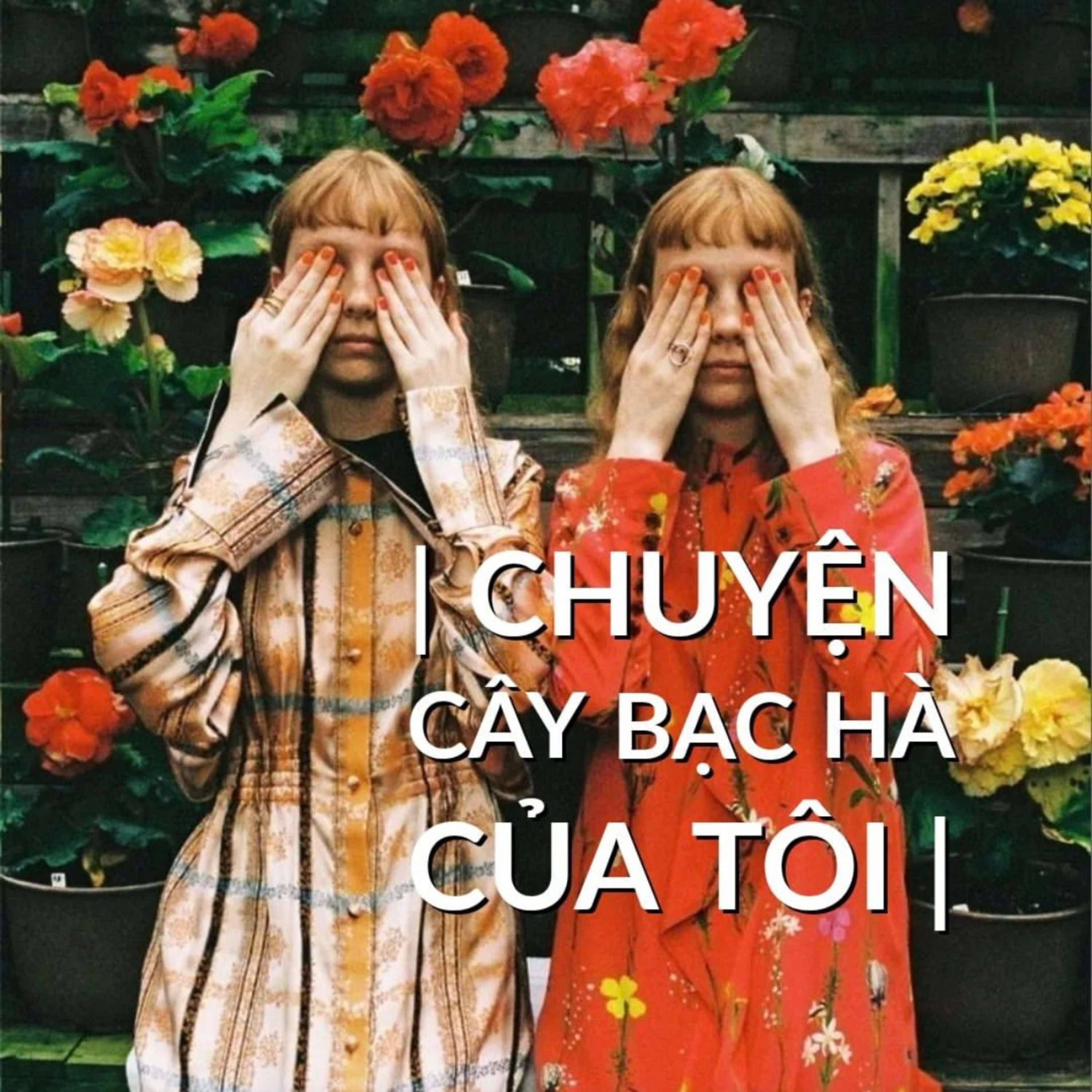 Chuyện cây bạc hà của tôi episode artwork