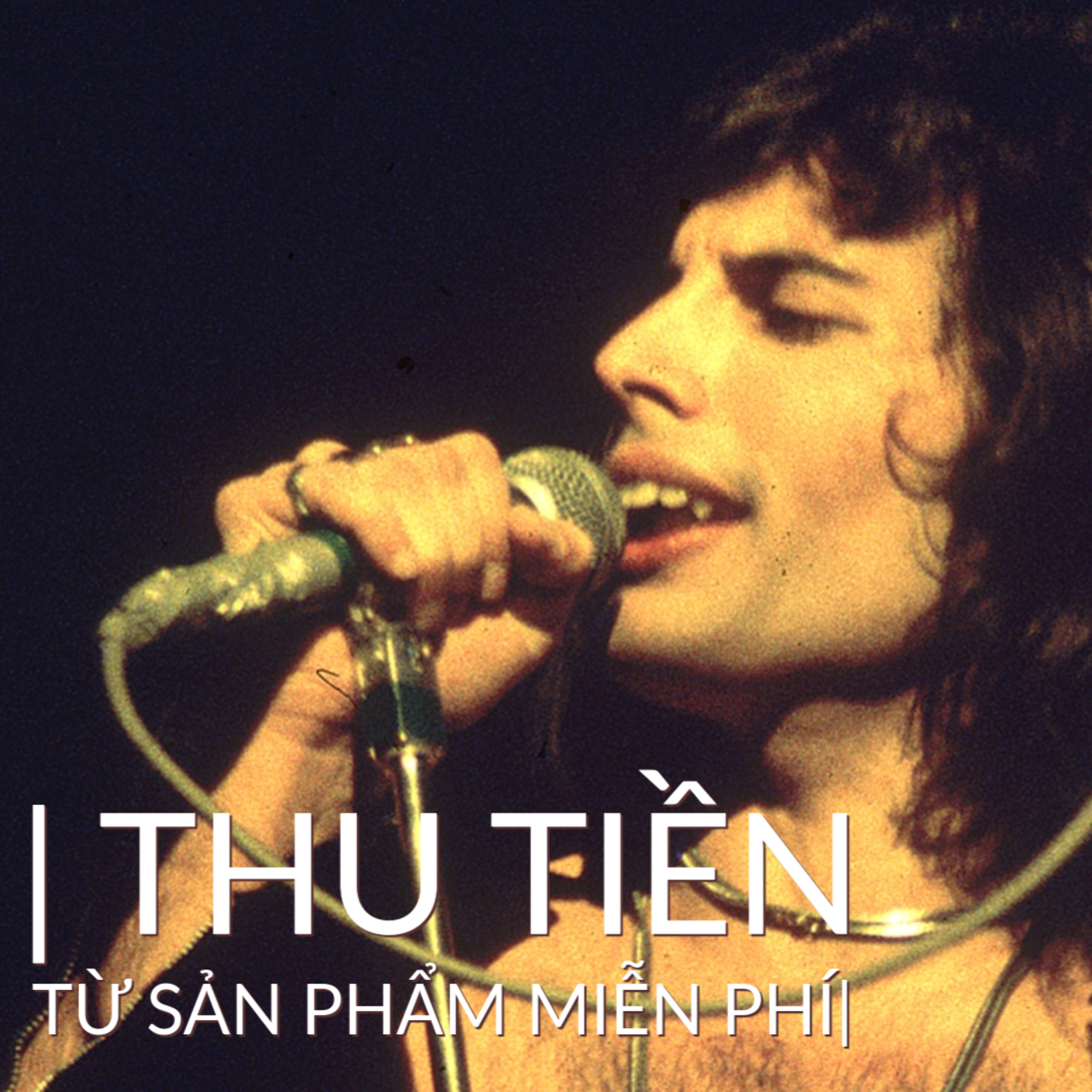 Bách Hoá Viển Vông