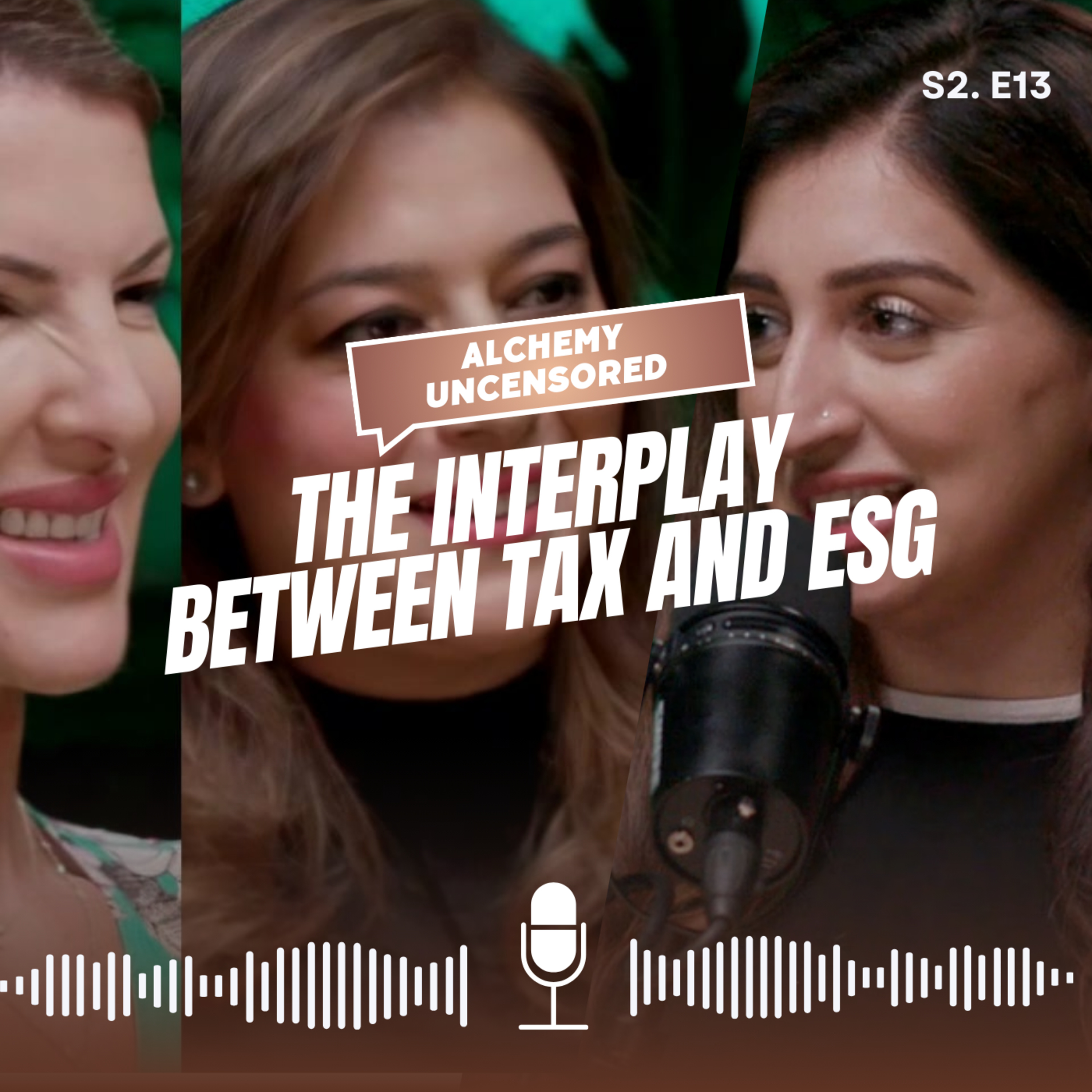 Season 2 Episode 13: The Interplay between Tax and ESG episode artwork