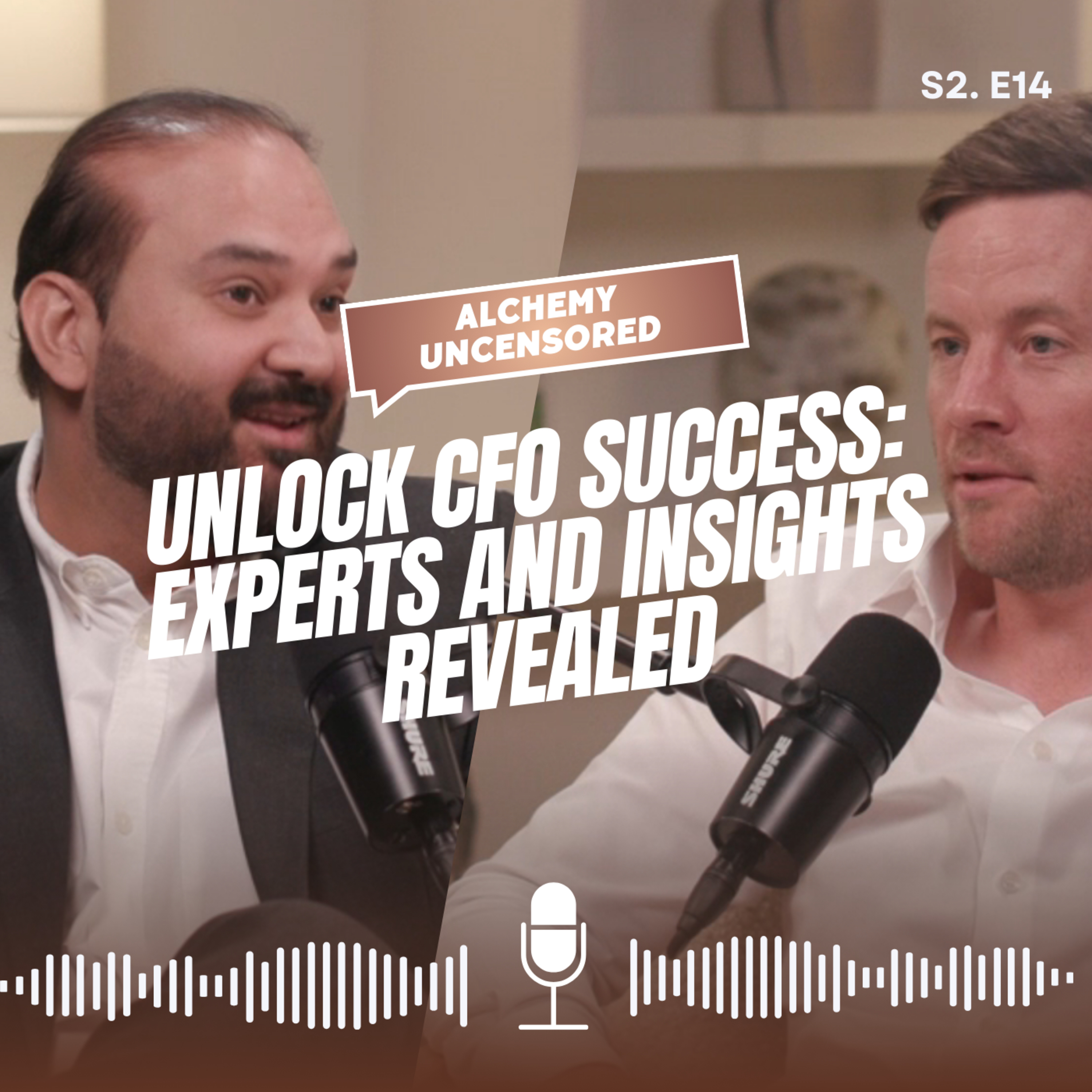 Season 2 Episode 14: Unlock CFO Success: Experts and Insights Revealed episode artwork