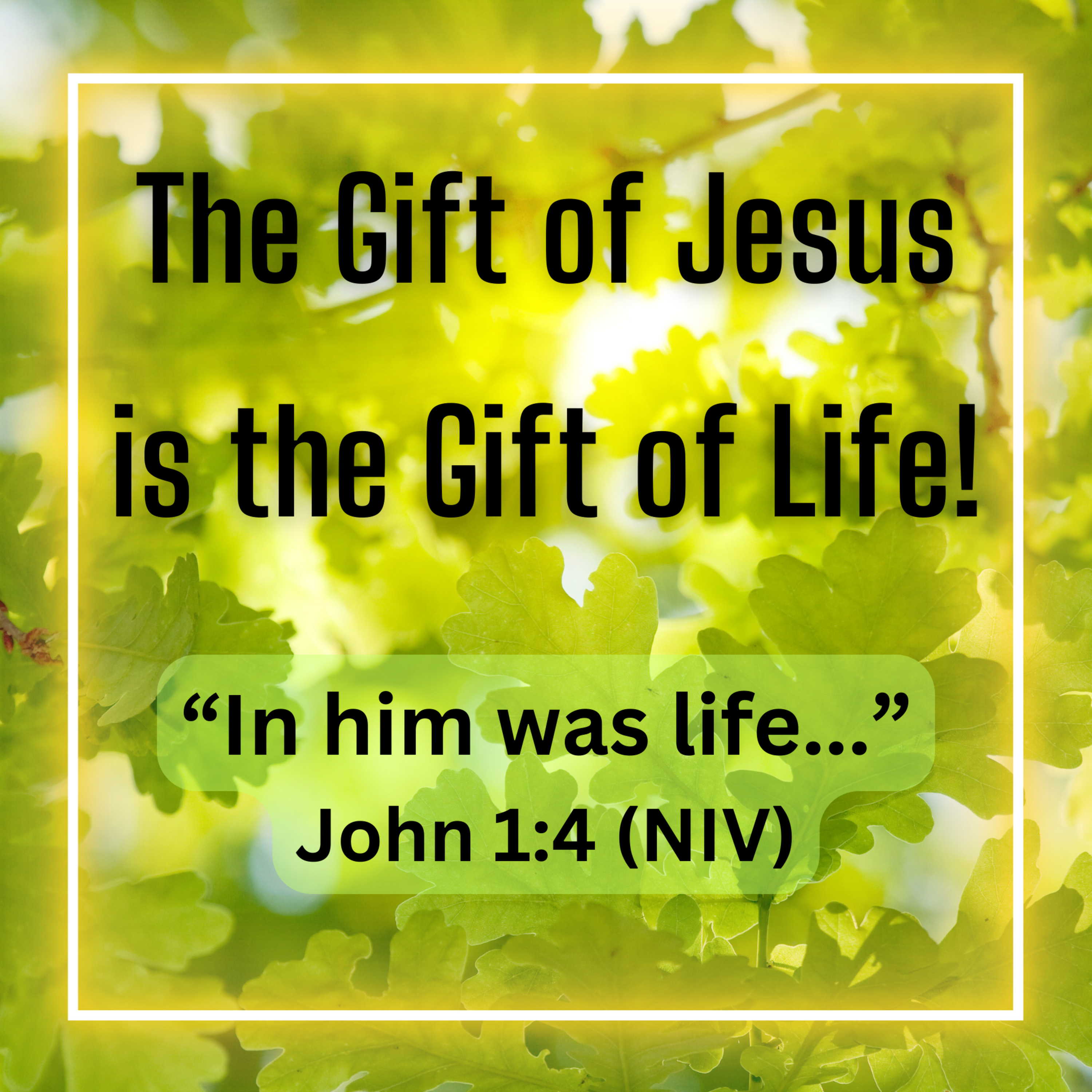 The Gift of Jesus is the Gift of Life (Rock Springs UMC) episode artwork