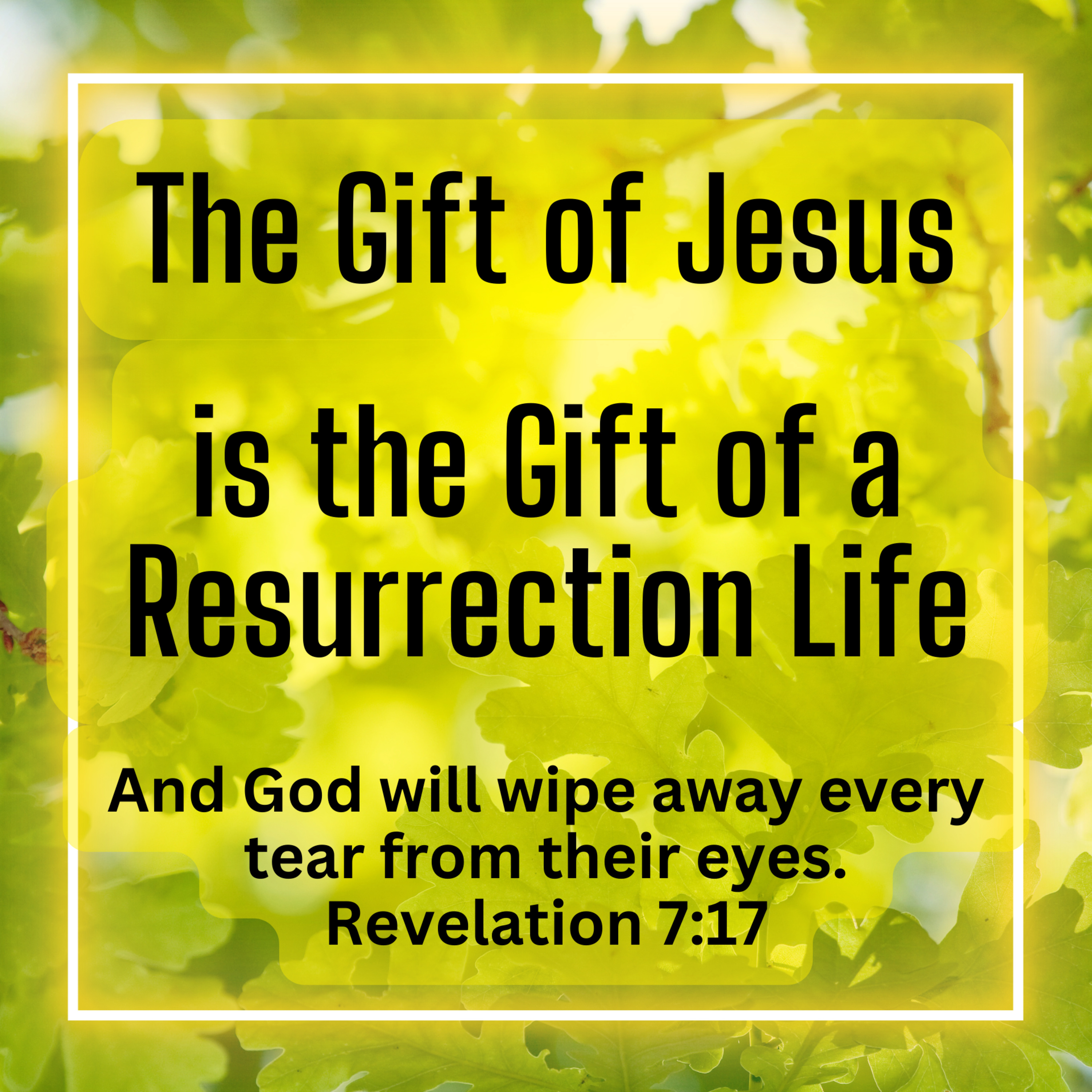 The Gift of Jesus is the Gift of Resurrection Life (Rock Springs UMC) episode artwork