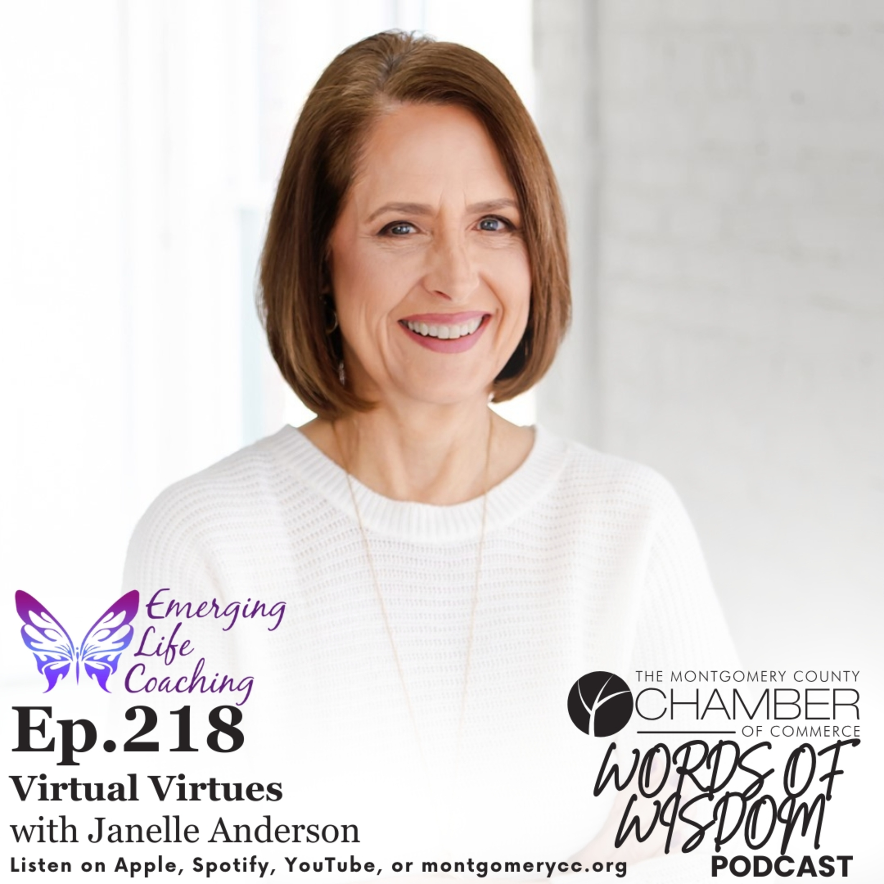 Ep.218: Virtual Virtues w/ Janelle Anderson episode artwork
