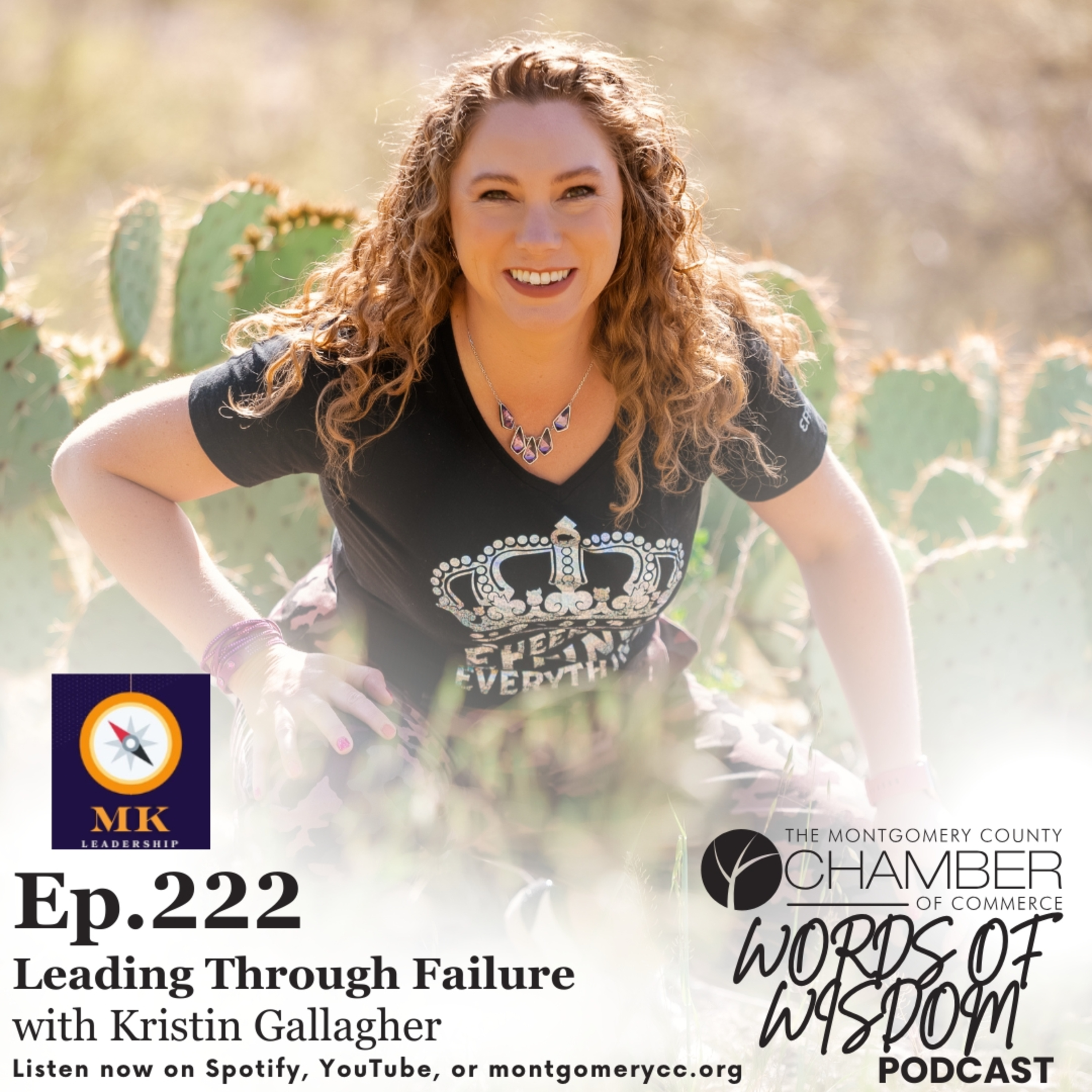 Ep.222: Leading Through Failure w/ Kristin Gallagher