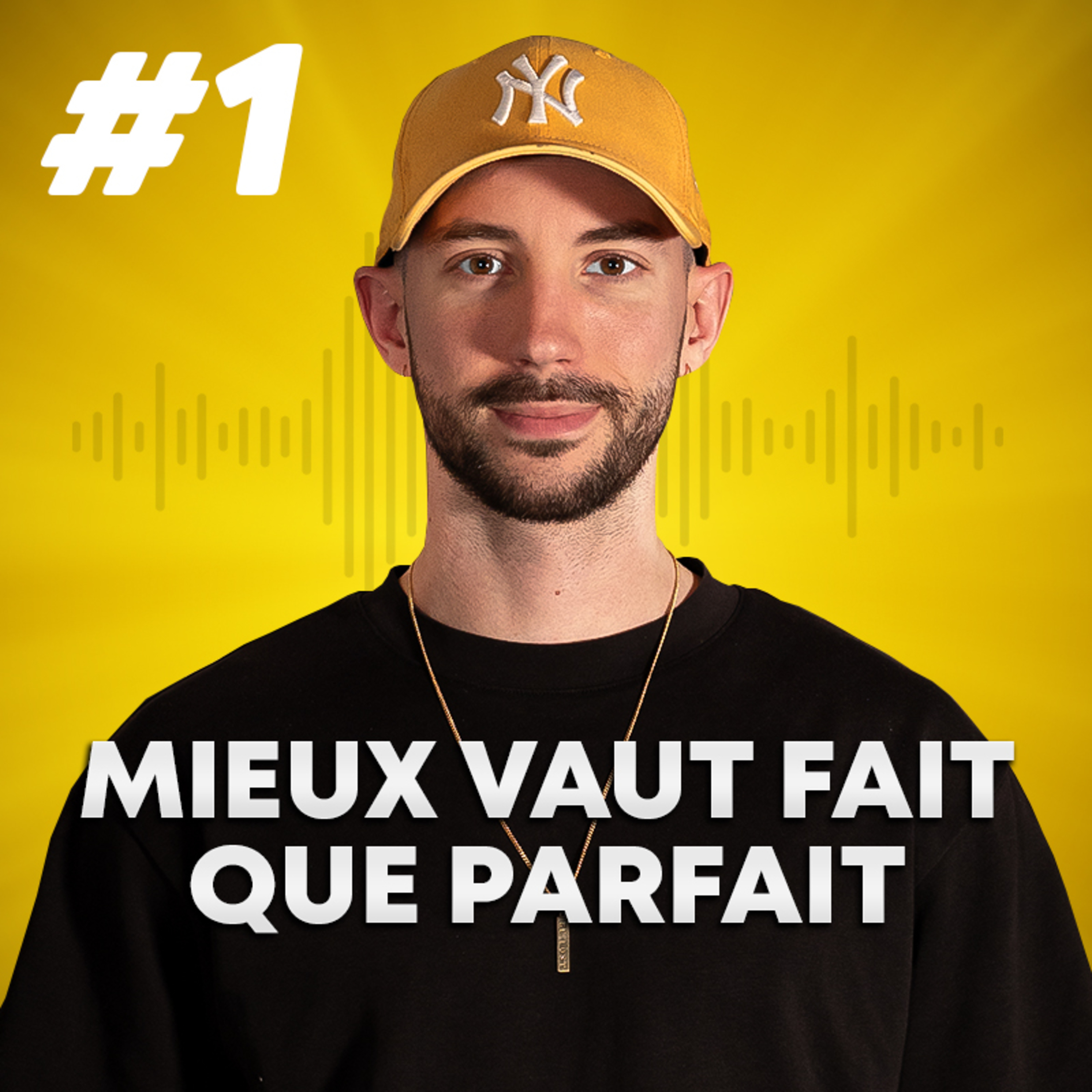 #1 La perfection est votre ennemie episode artwork