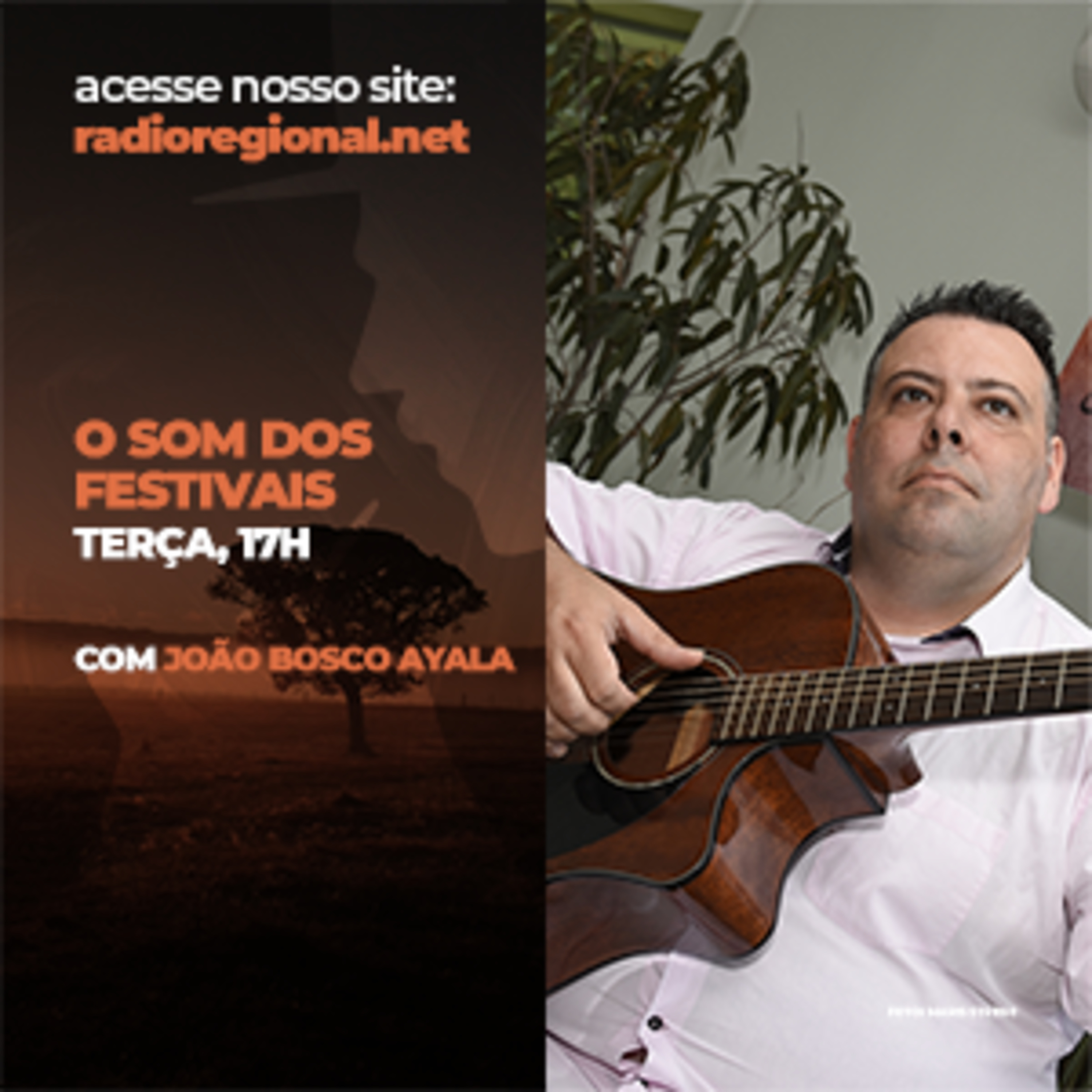Programa O Som dos Festivais - Bosco Ayala episode artwork