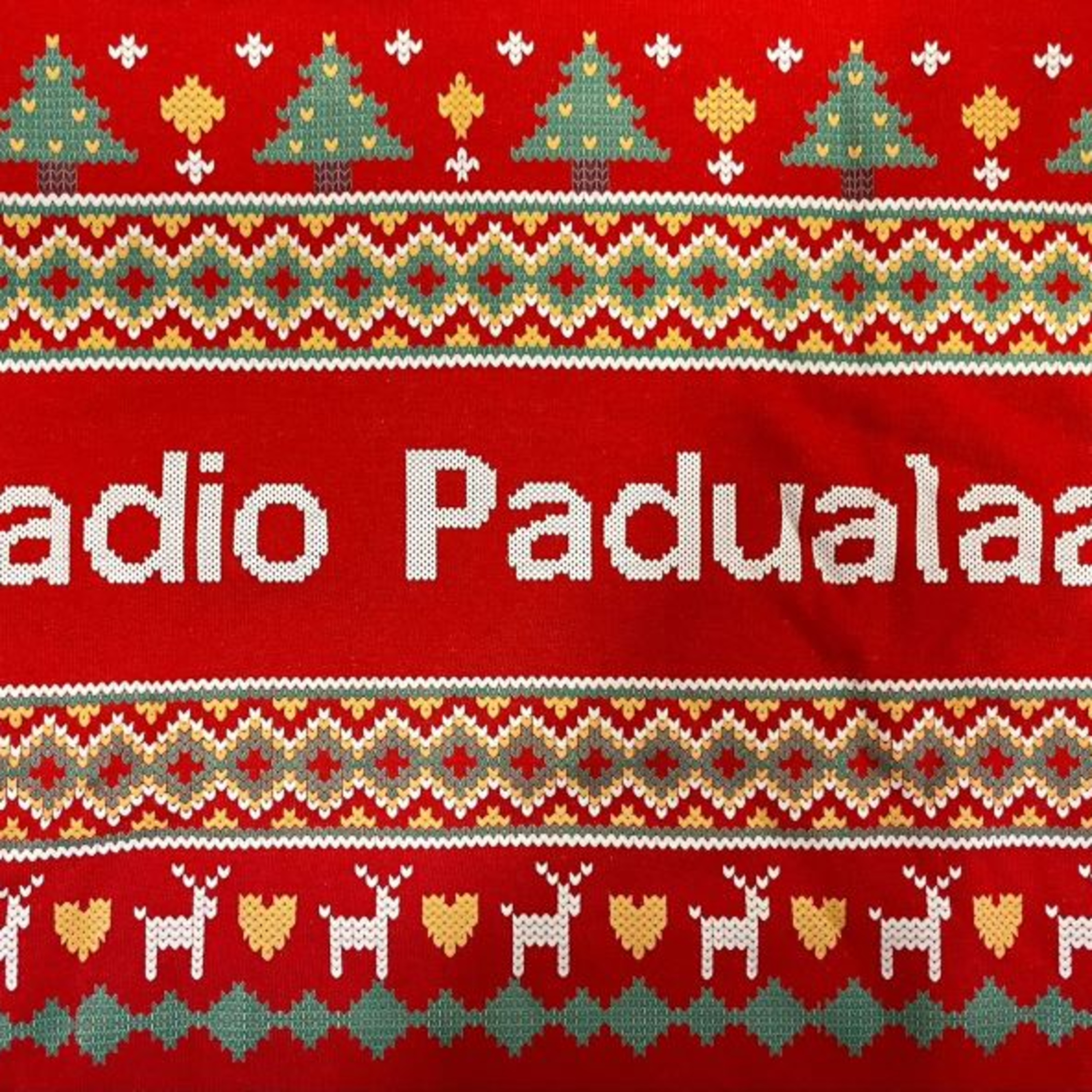 Radio Padualaan- Kantelpunten episode artwork