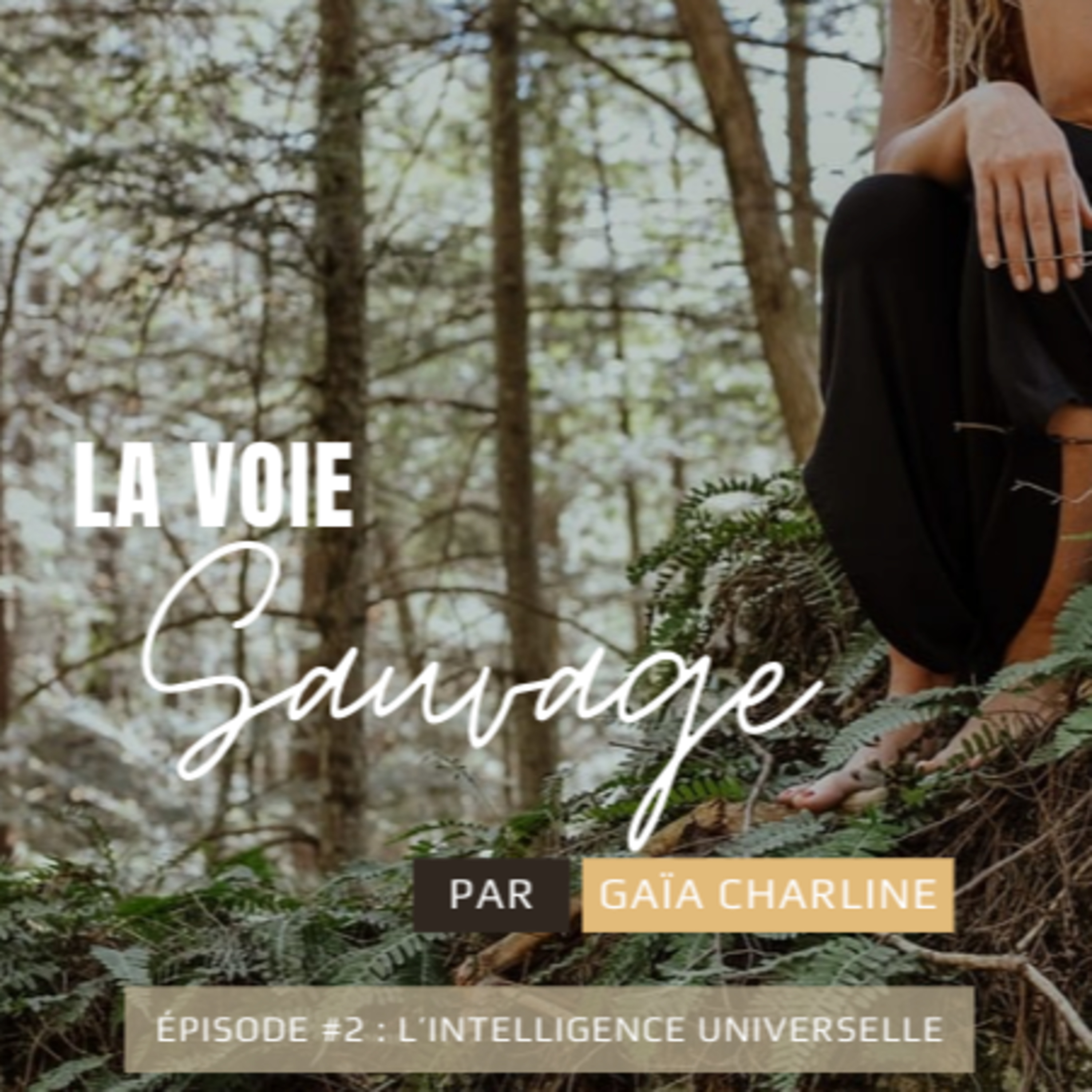 #2 L'intelligence Universelle episode artwork