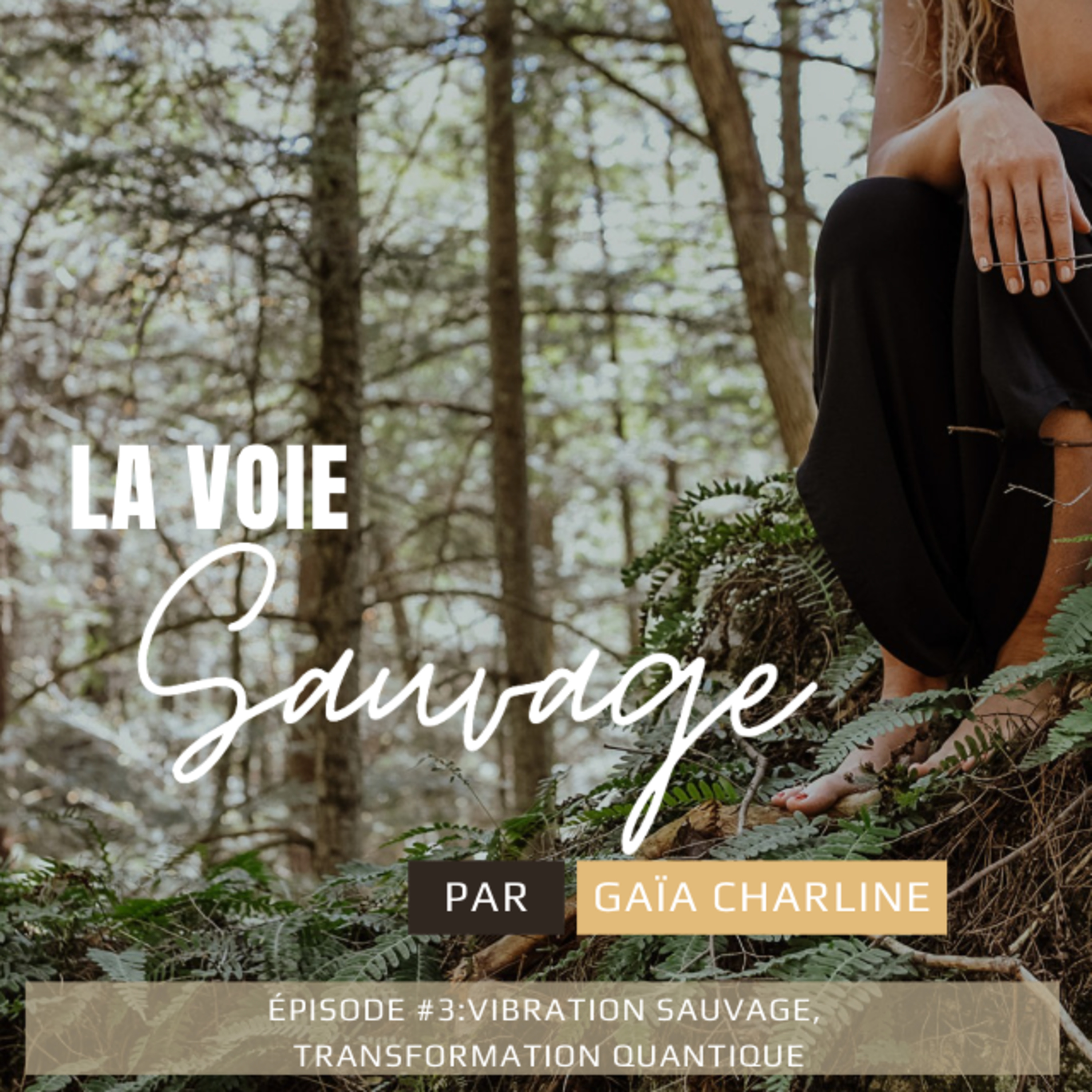 #3 Vibration sauvage, transformation quantique episode artwork