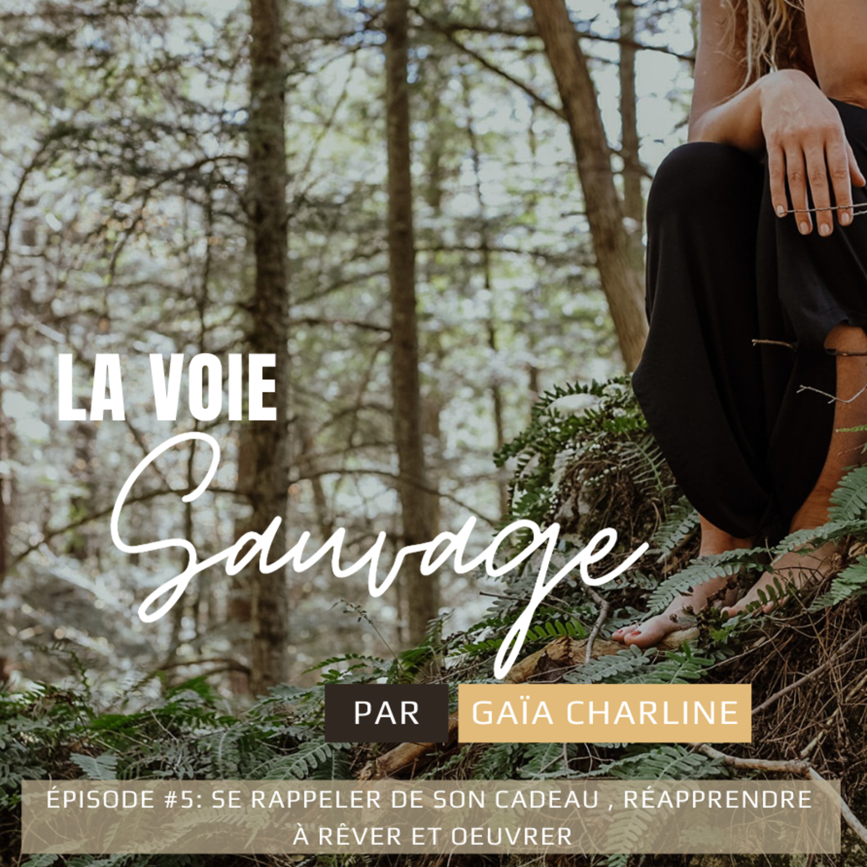 #6 Se rappeler de son cadeau, réapprendre à rêver et oeuvrer episode artwork