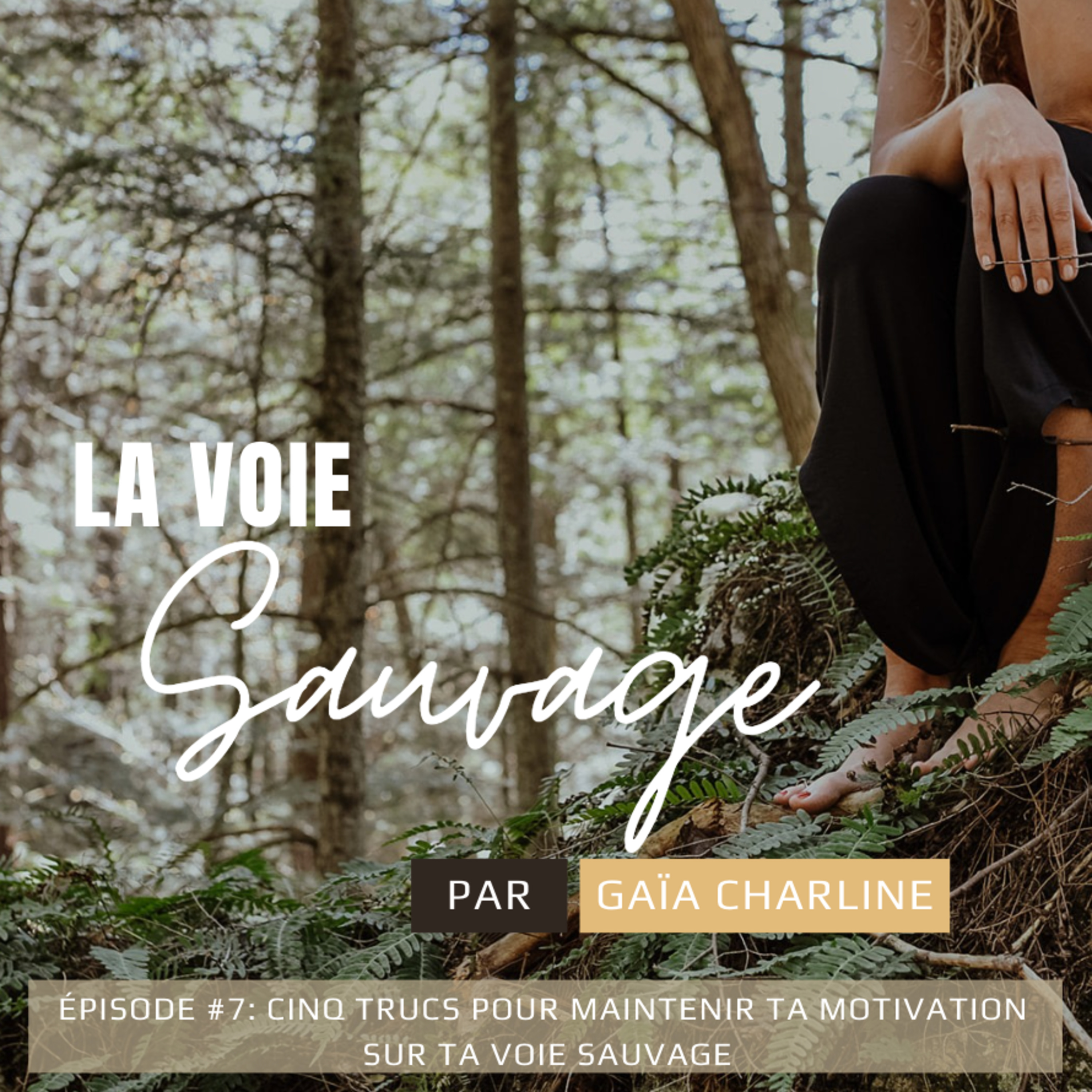 #7 Cinq trucs pour maintenir ta motivation sur ta Voie Sauvage episode artwork