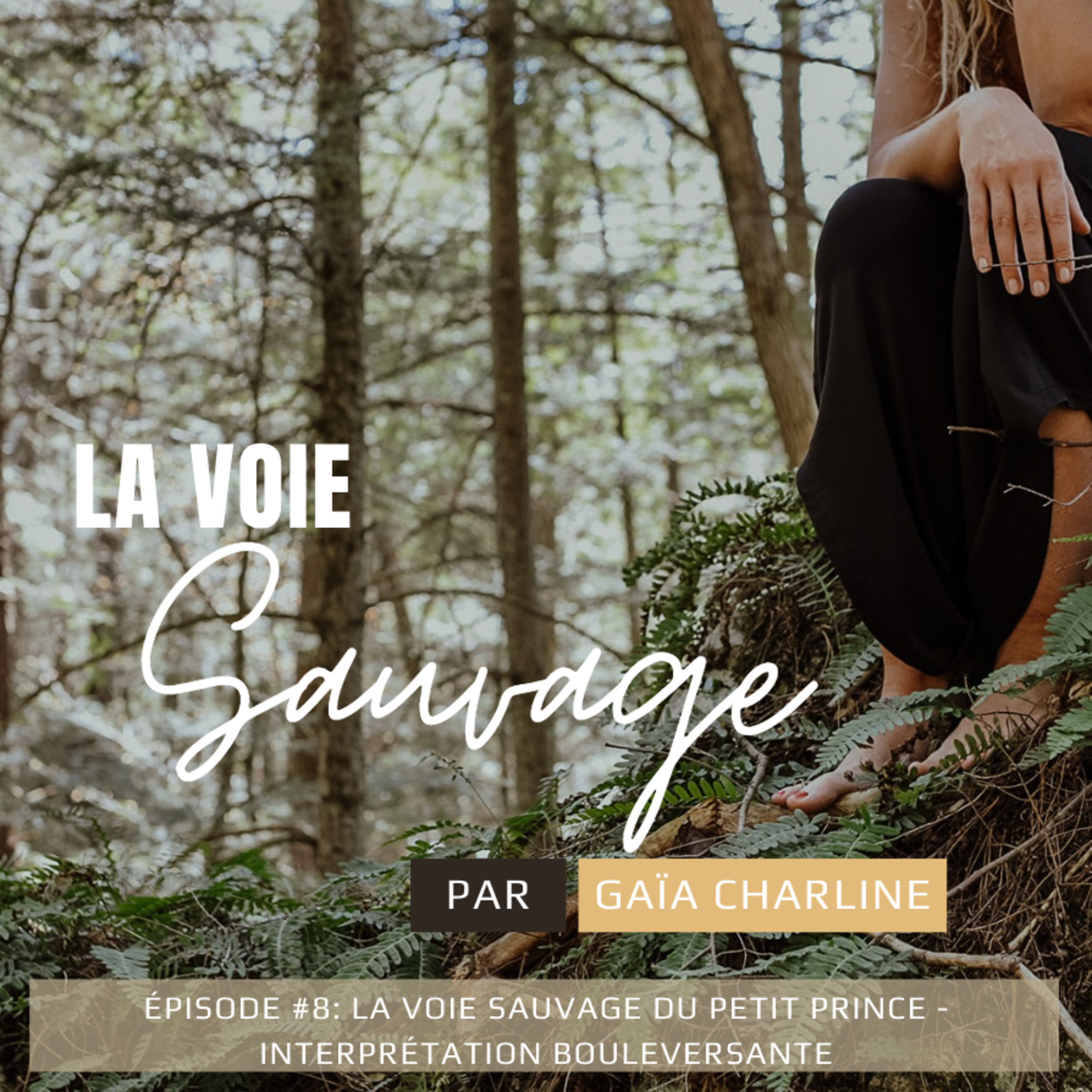 #8 La Voie Sauvage du Petit Prince - interprétation bouleversante episode artwork