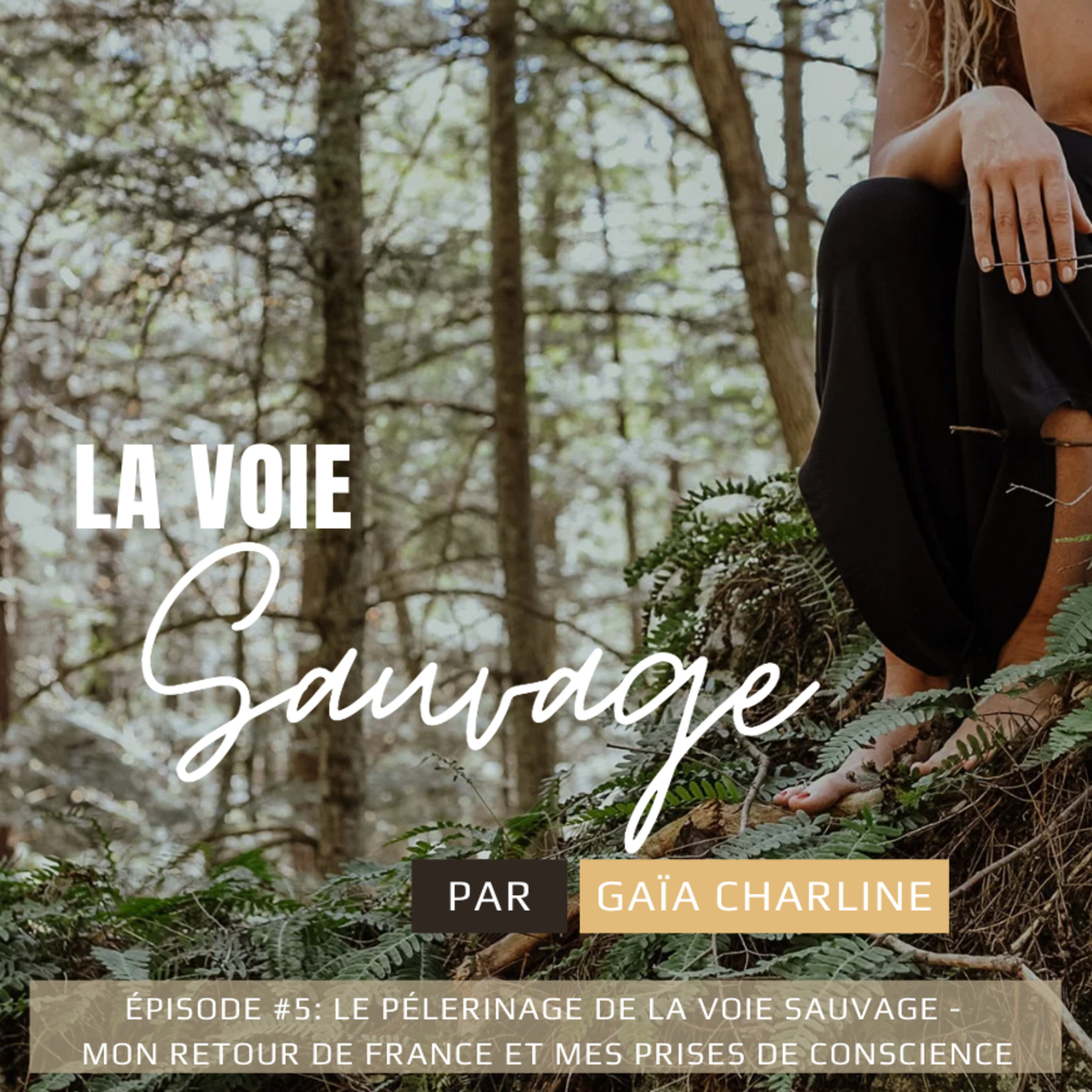 #5 Le pélerinage de la voie sauvage - mon retour de France et mes prises de conscience episode artwork