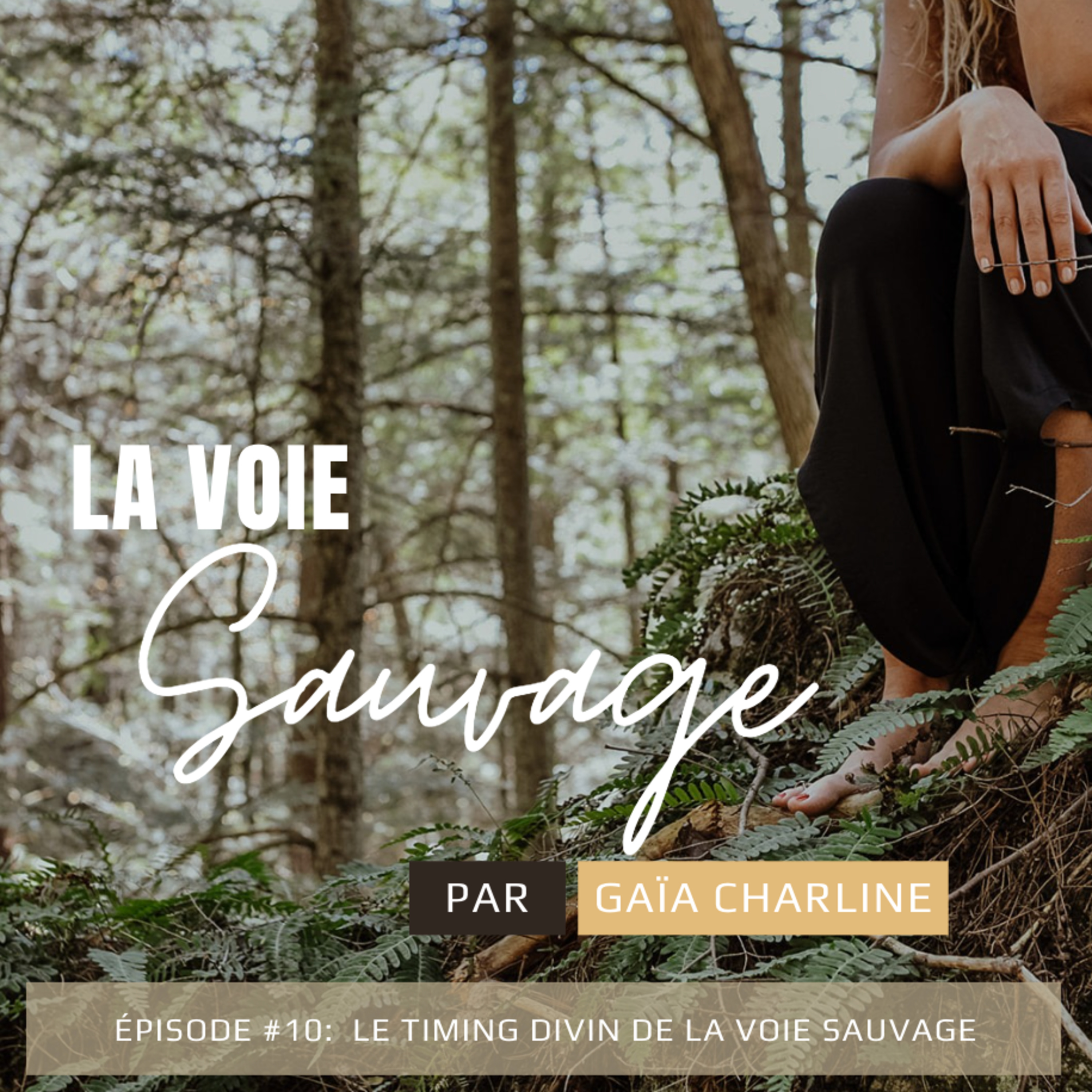 #10 Le temps divin sur la Voie Sauvage episode artwork
