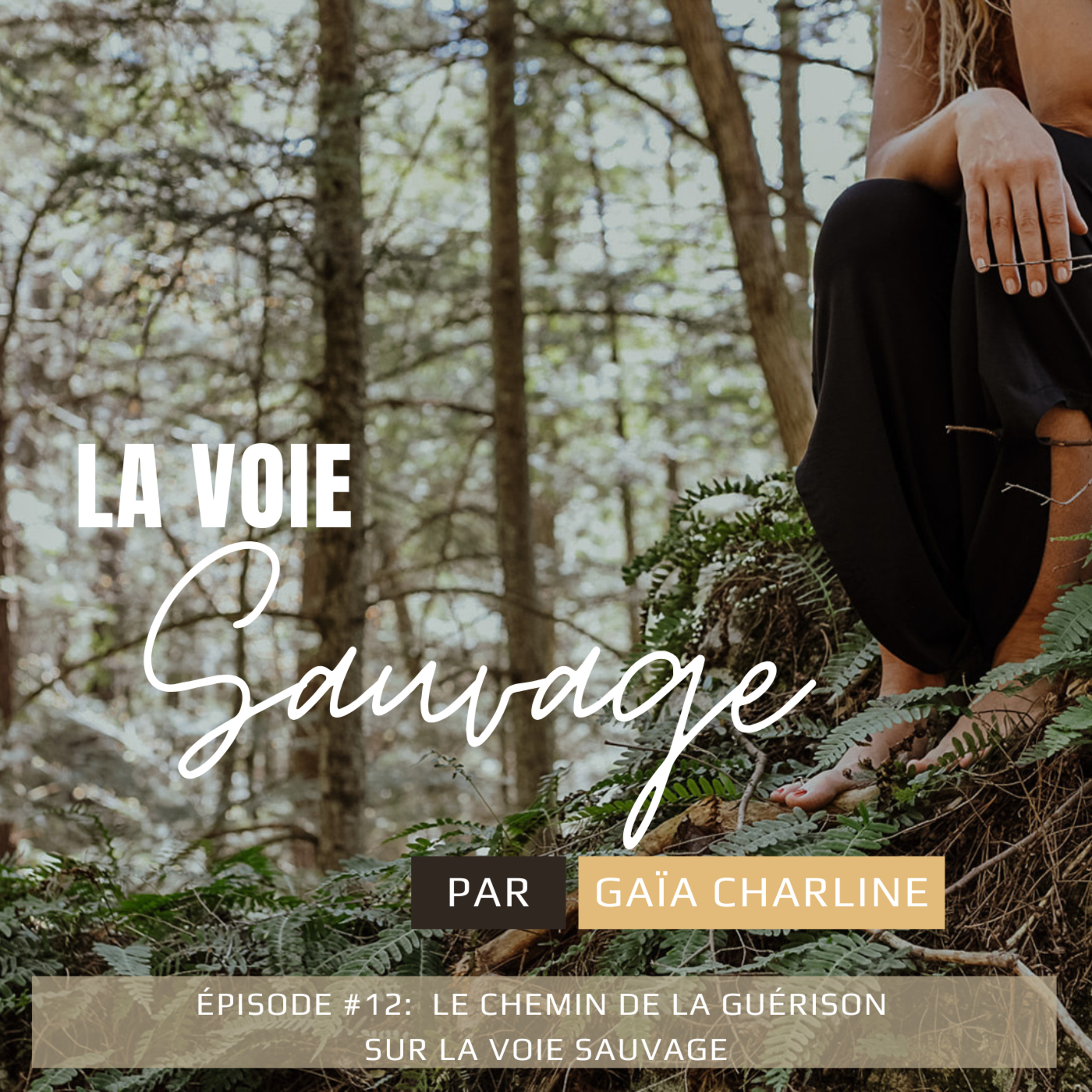 #12 Le chemin de la guérison  episode artwork
