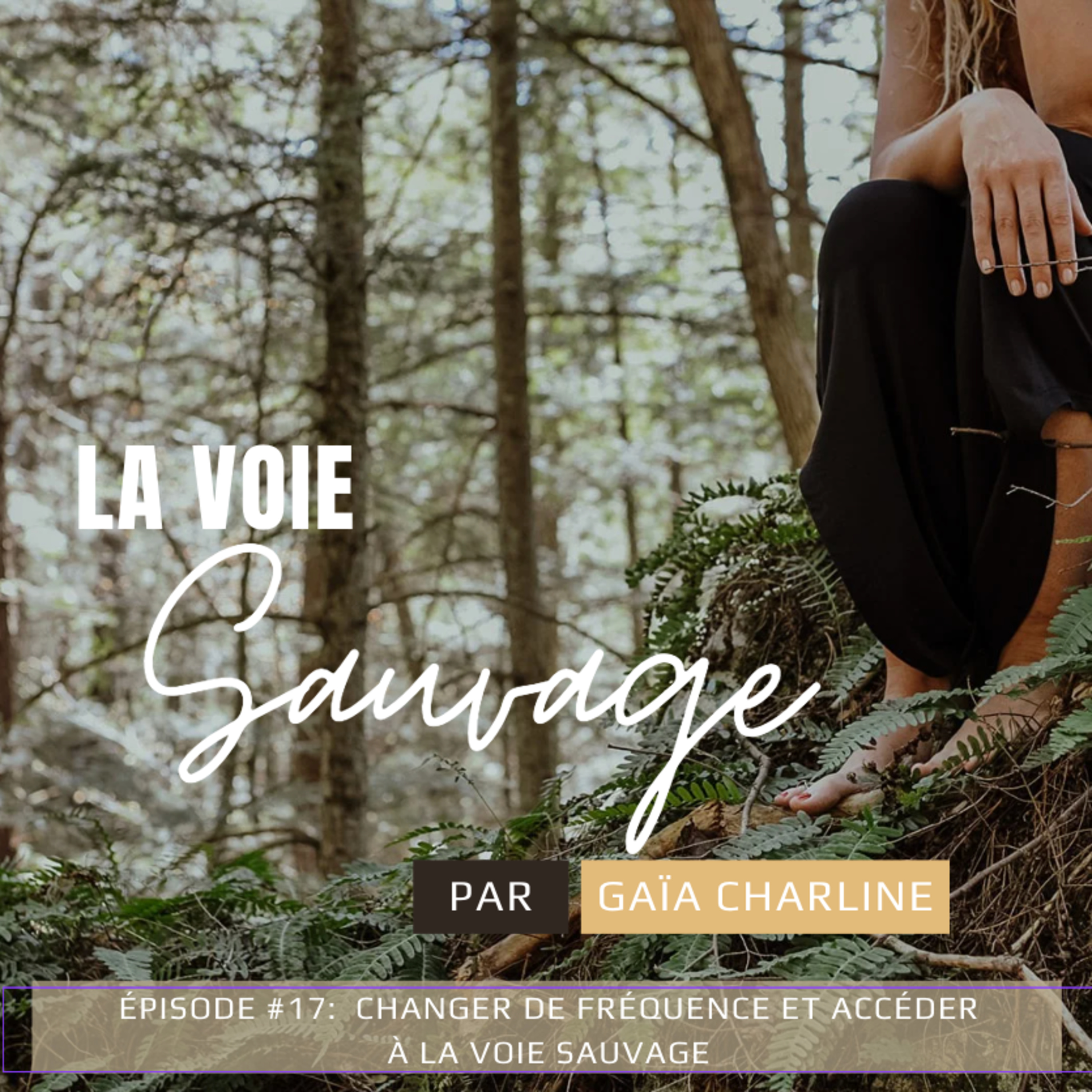 #17: changer de fréquence et accéder à la voie sauvage episode artwork