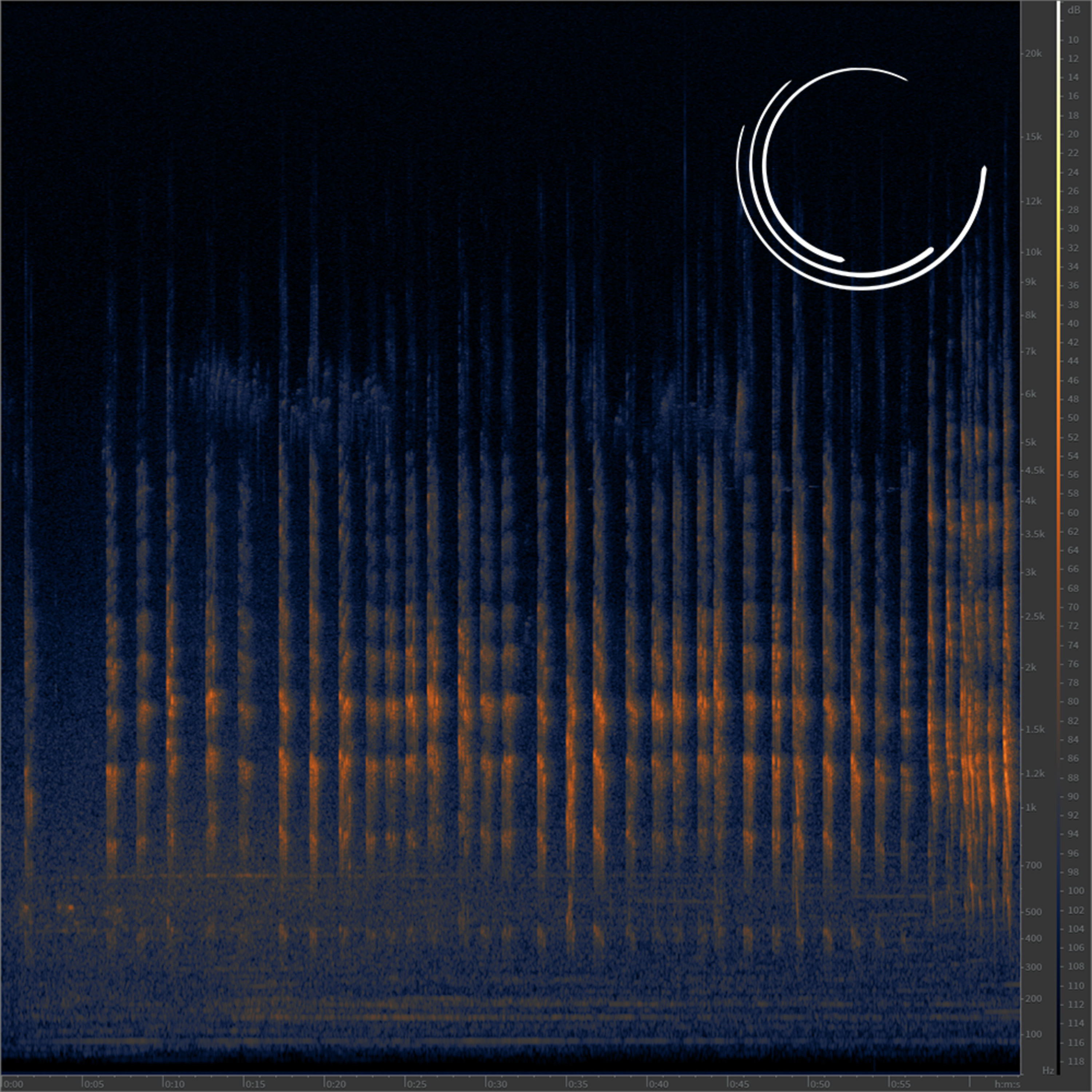 Venice Wakes Up episode artwork