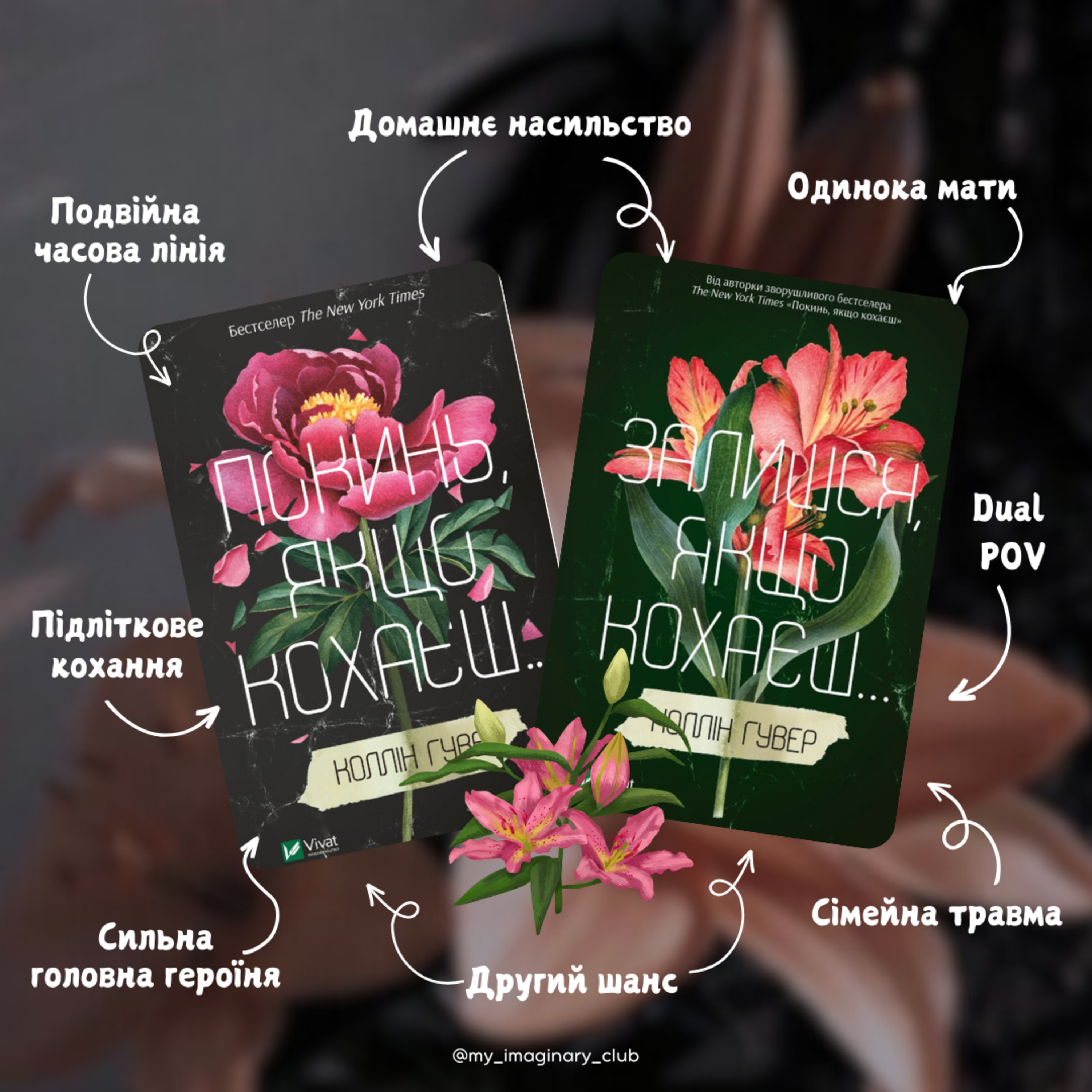 Огляд та переказ книг “Покинь/Залишся, якщо кохаєш”, Коллін Гувер episode artwork