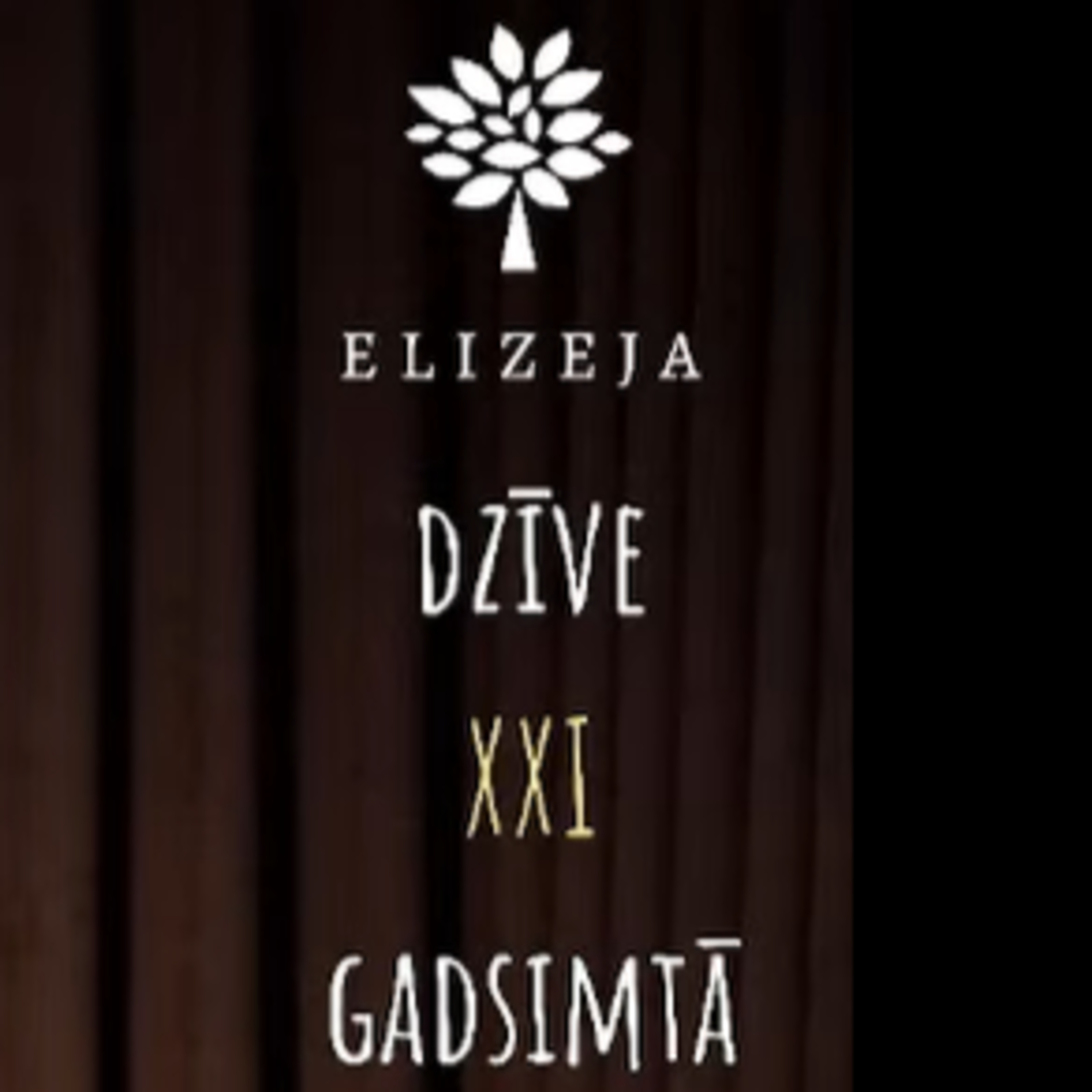 DZĪVE XXI GADSIMTĀ Vientulība (I) – JAUTĀJUMI un ATBILDES, 17.01.2024 episode artwork