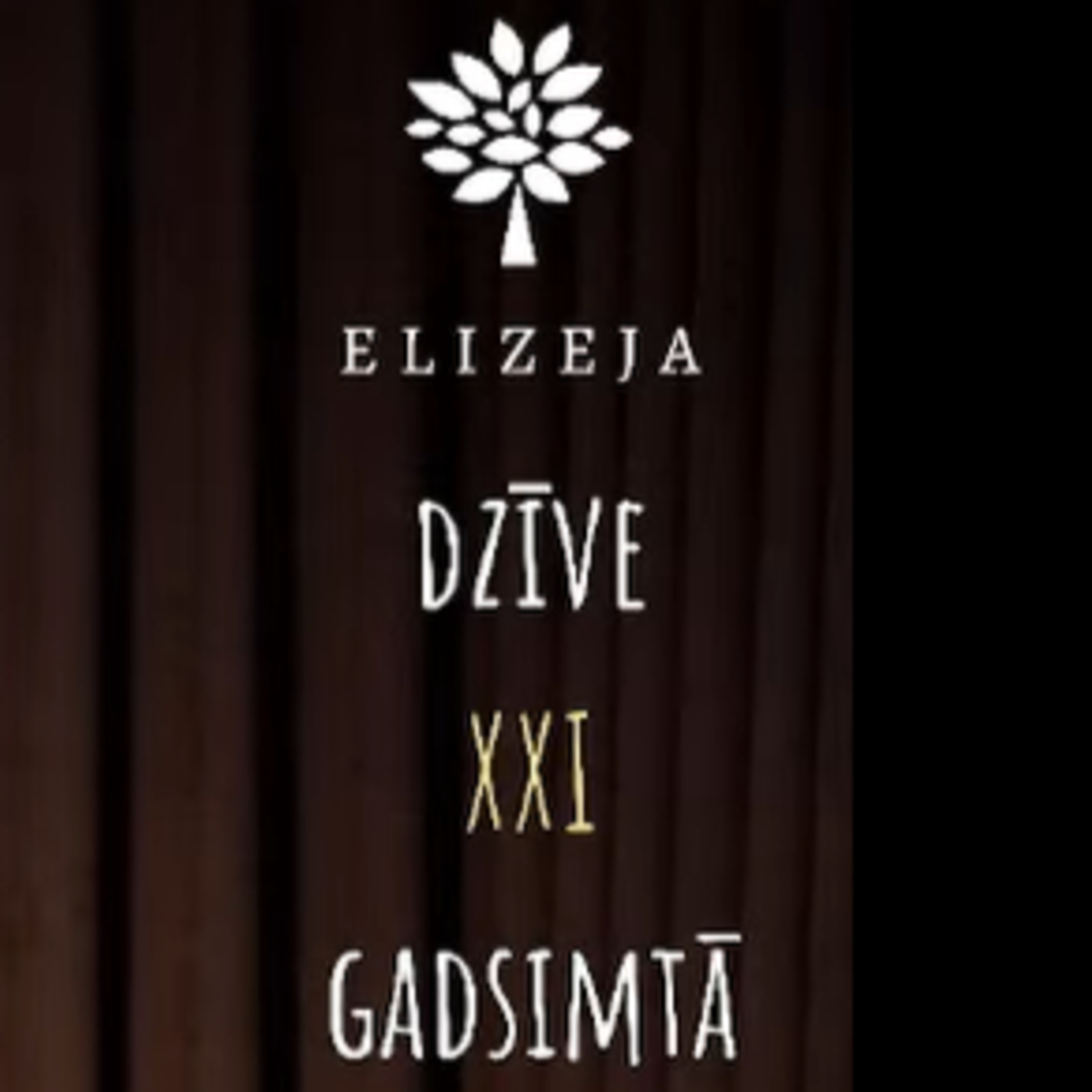 DZĪVE XXI GADSIMTĀ Vientulība (II), 24.01.2024 episode artwork