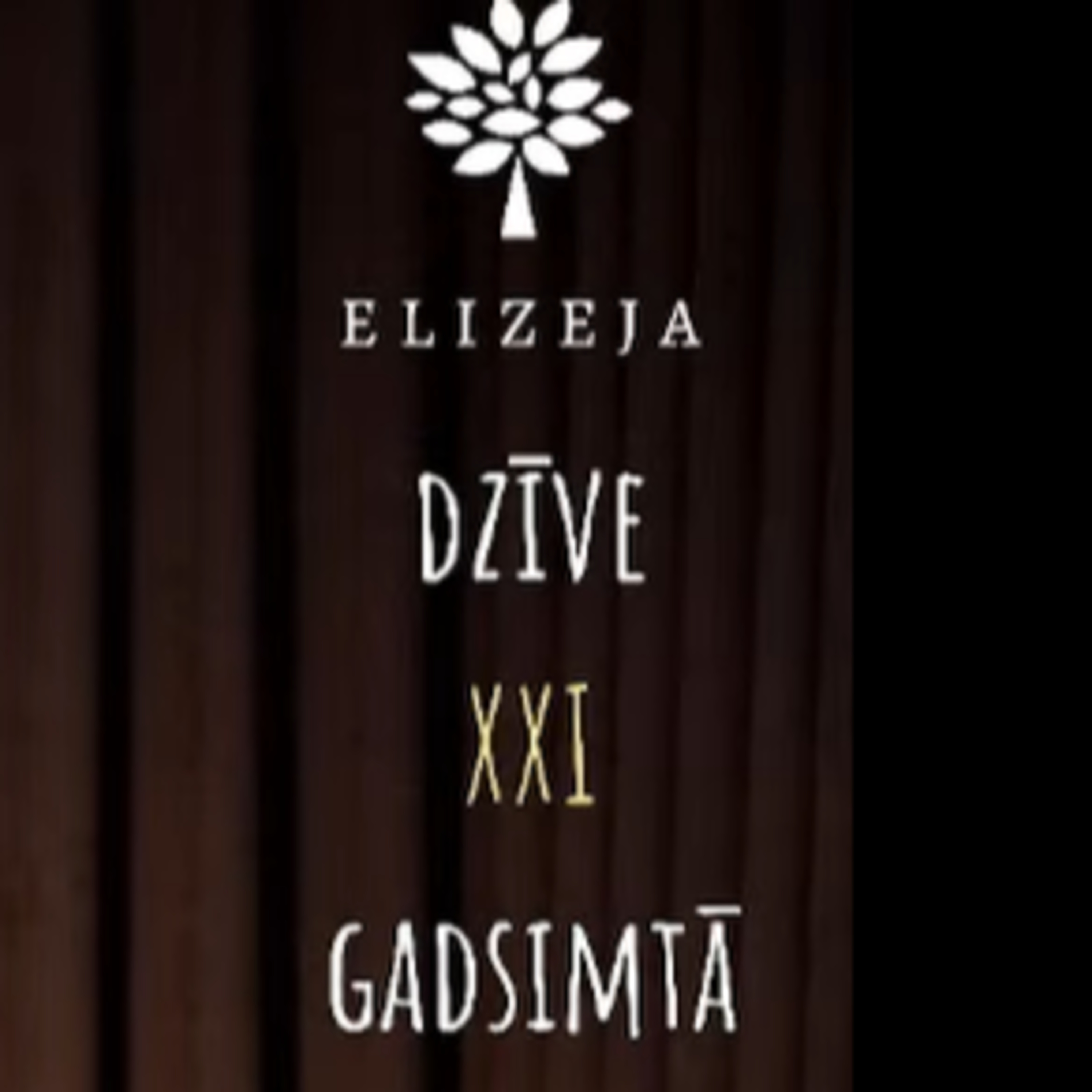 DZĪVE XXI GADSIMTĀ – Vientulība (III), 14.02.2024 episode artwork
