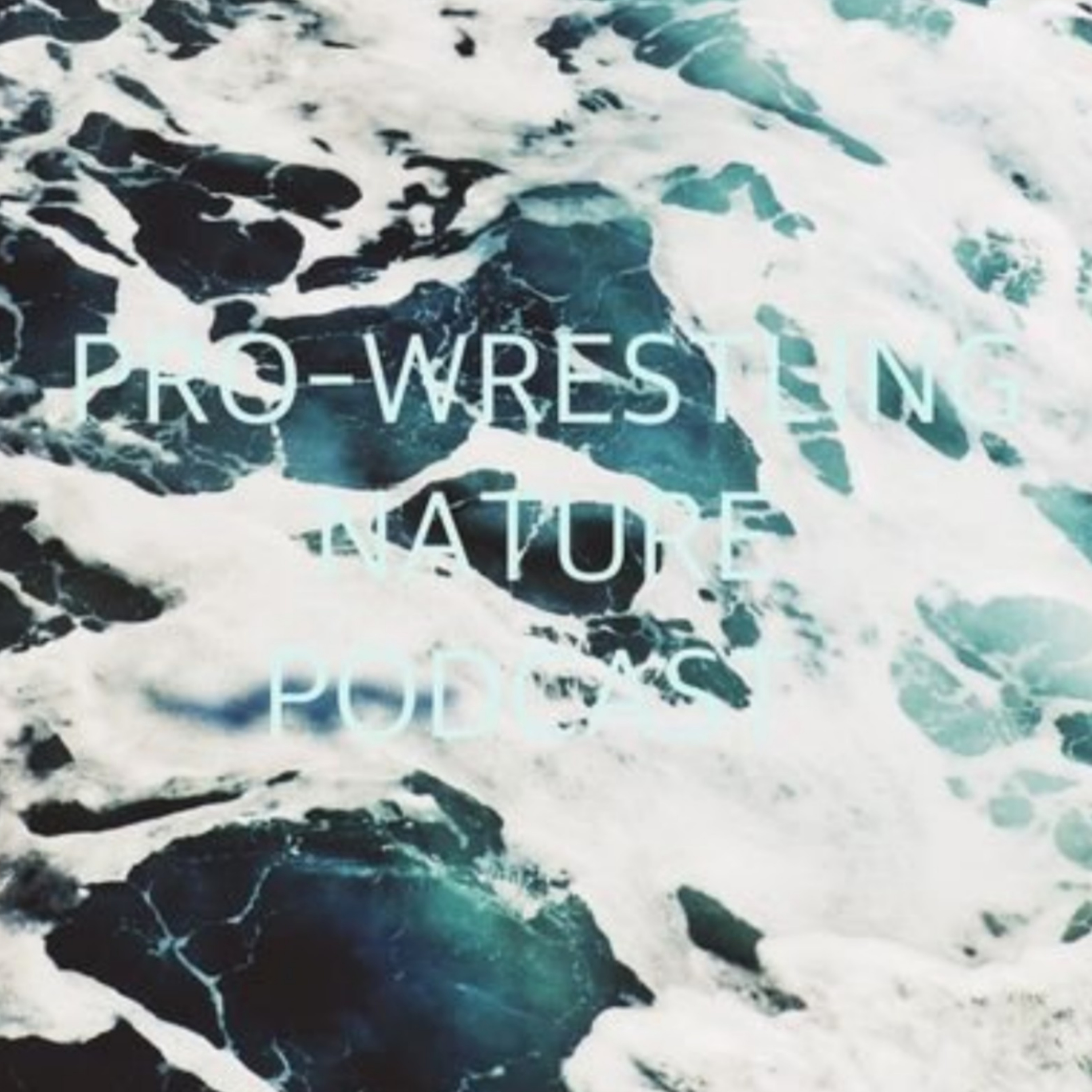 PRO-WRESTLING NATURE53 ブシロードの現在地・新日本プロレスの未来