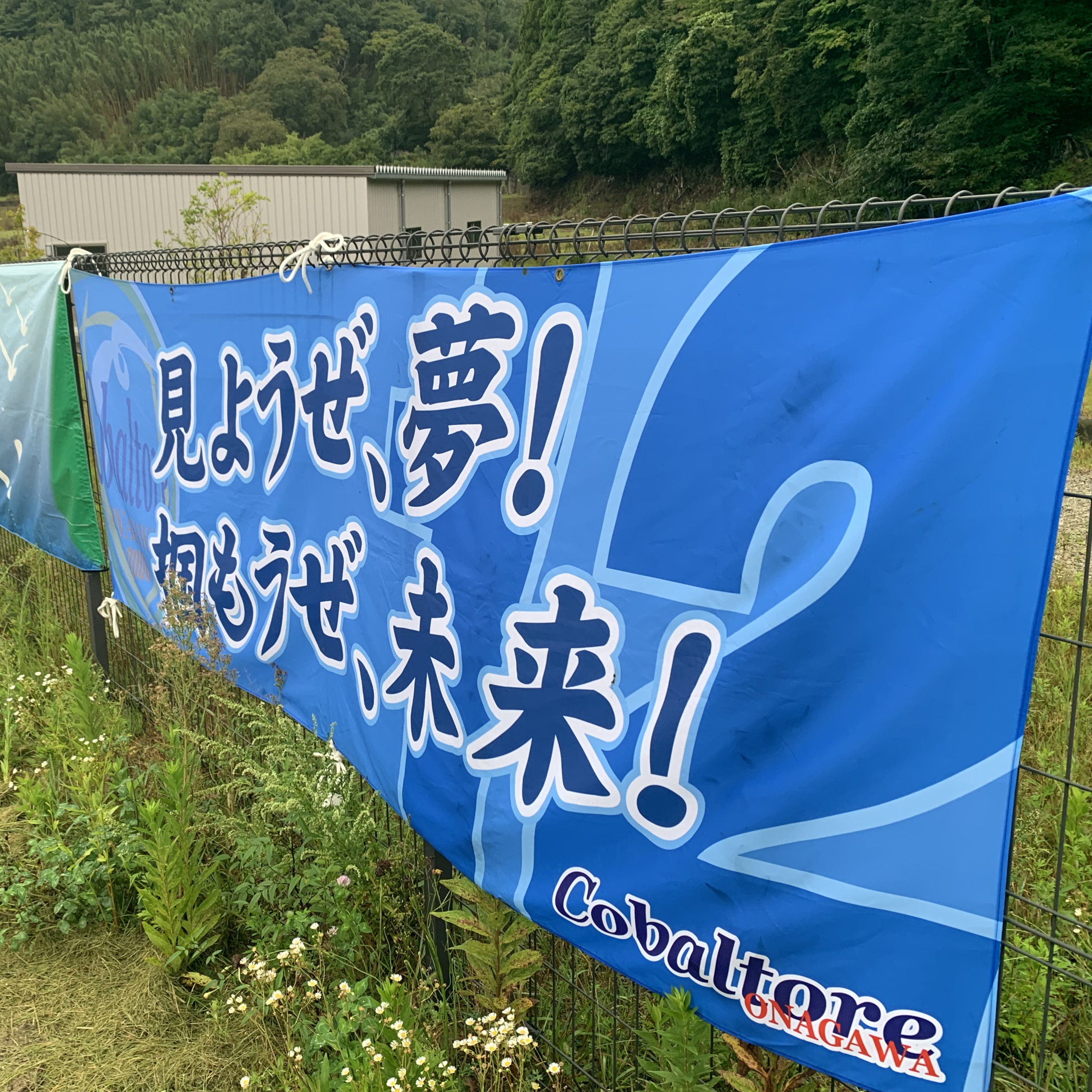 TOHOKU RADIO 360
