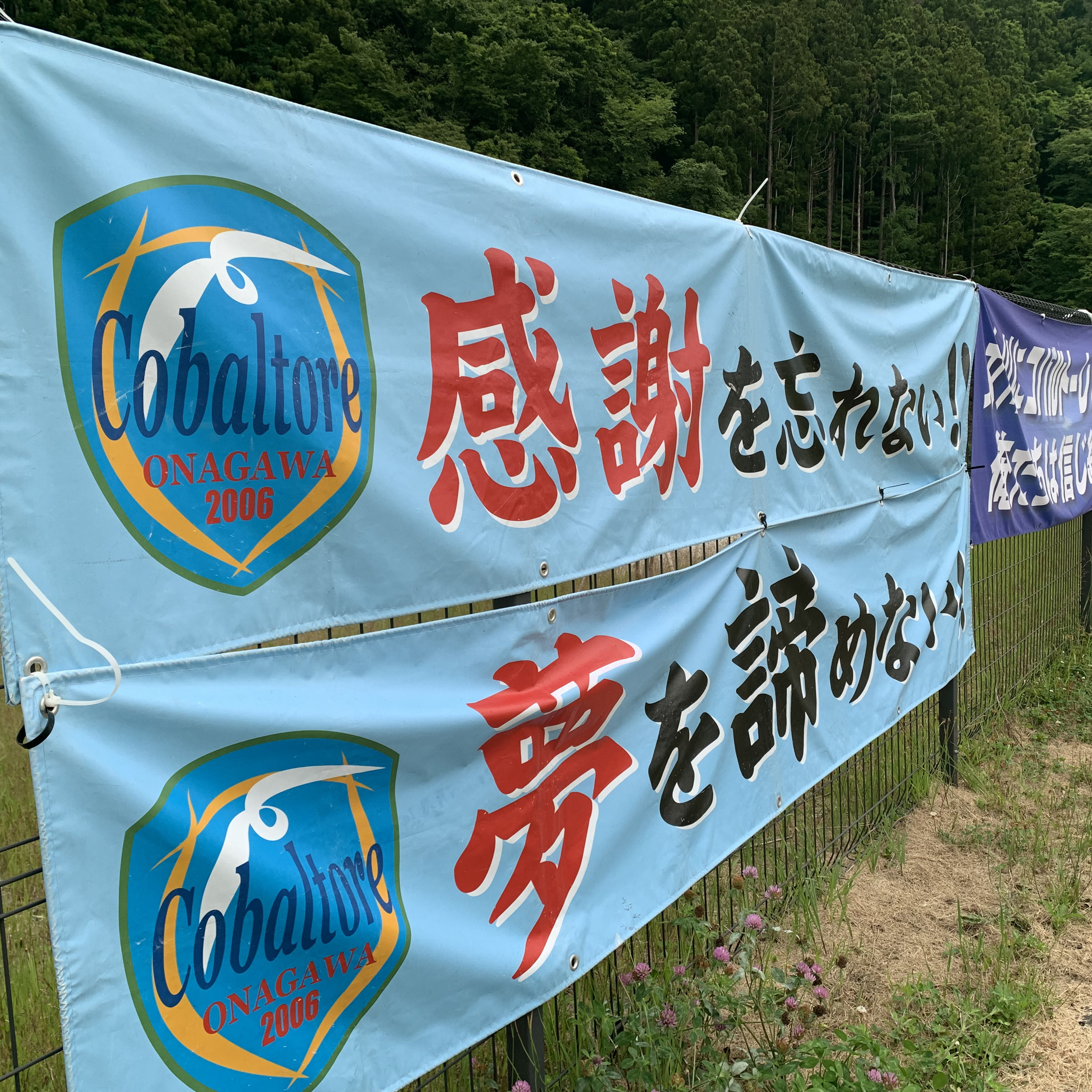 TOHOKU RADIO 360
