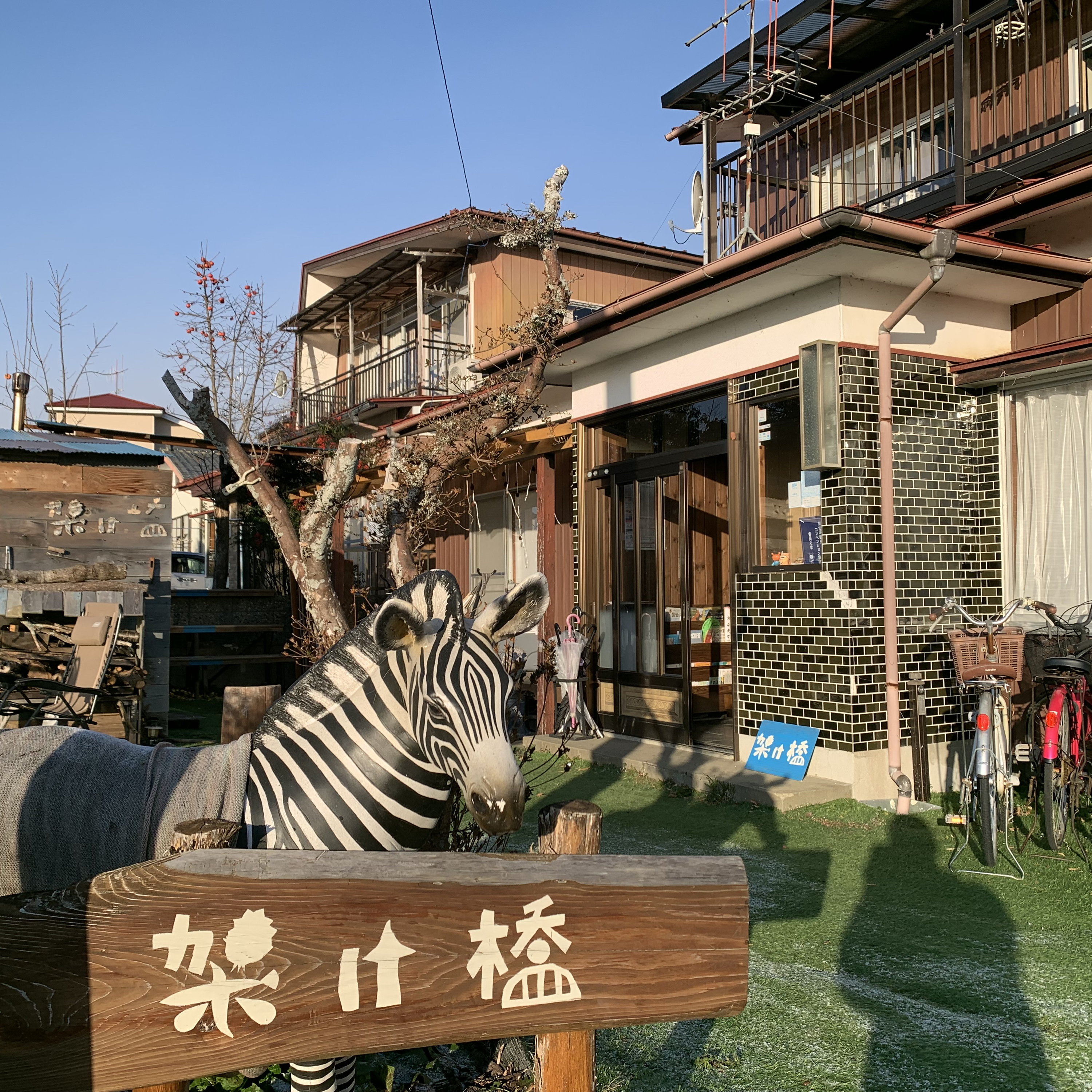 TOHOKU RADIO 360