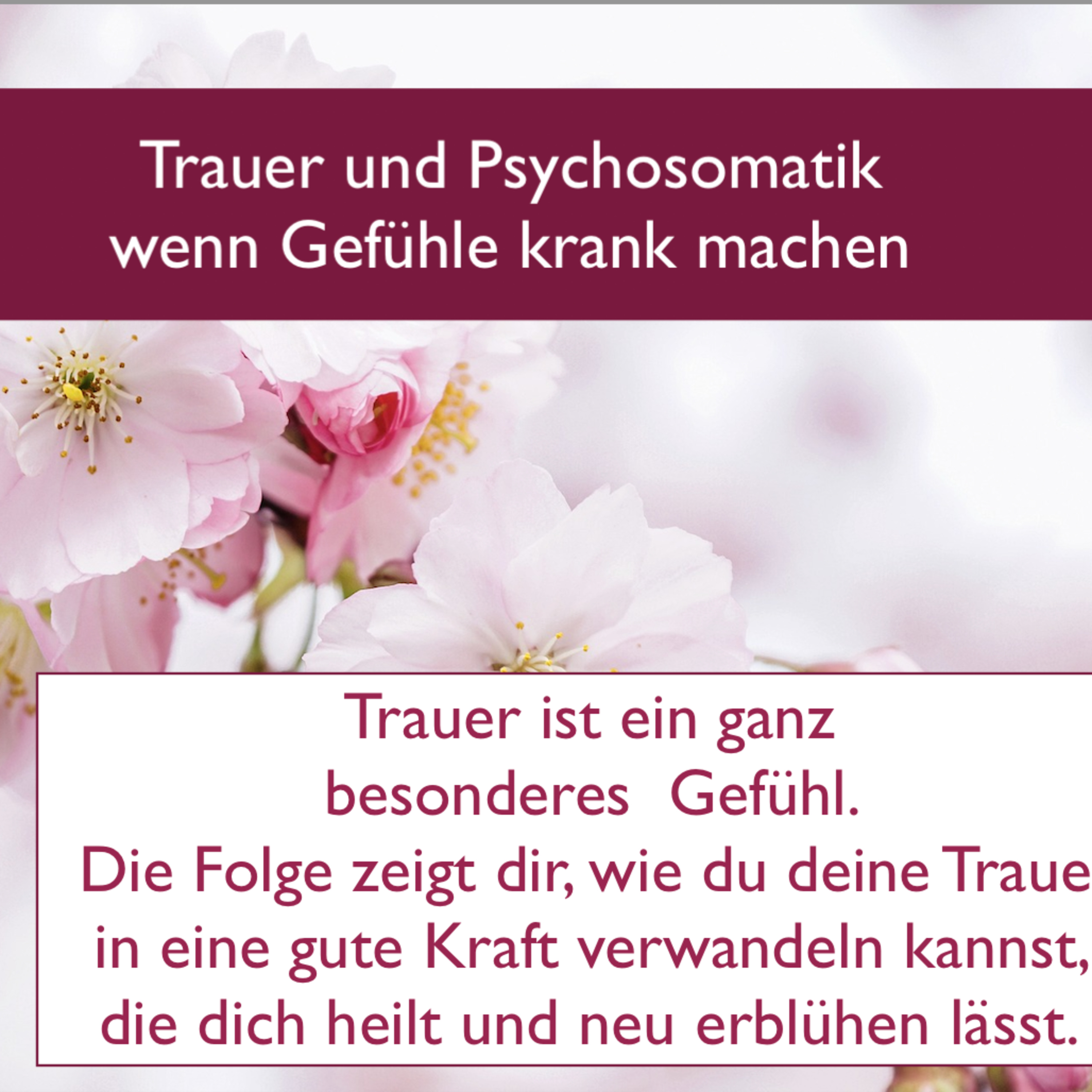Trauer und Psychosomatik - wenn Gefühle krank machen  episode artwork