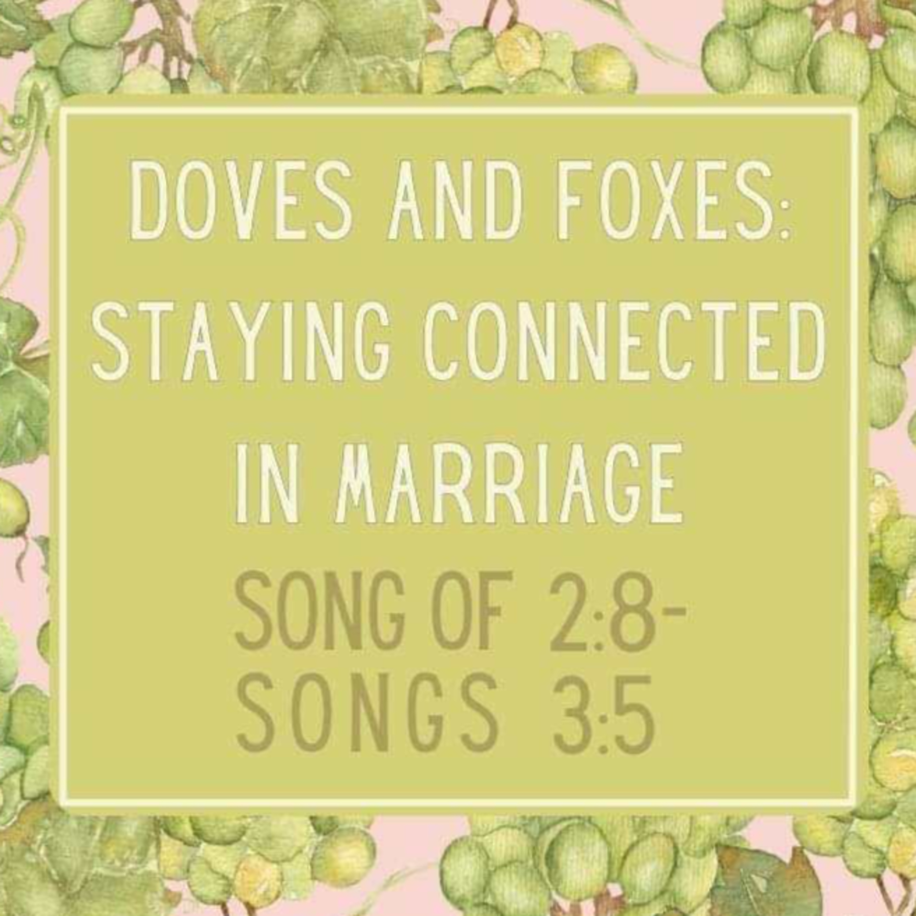 Sermon - Doves and Foxes: Staying Connected in Marriage - Song of Songs 2:8-3:5 episode artwork
