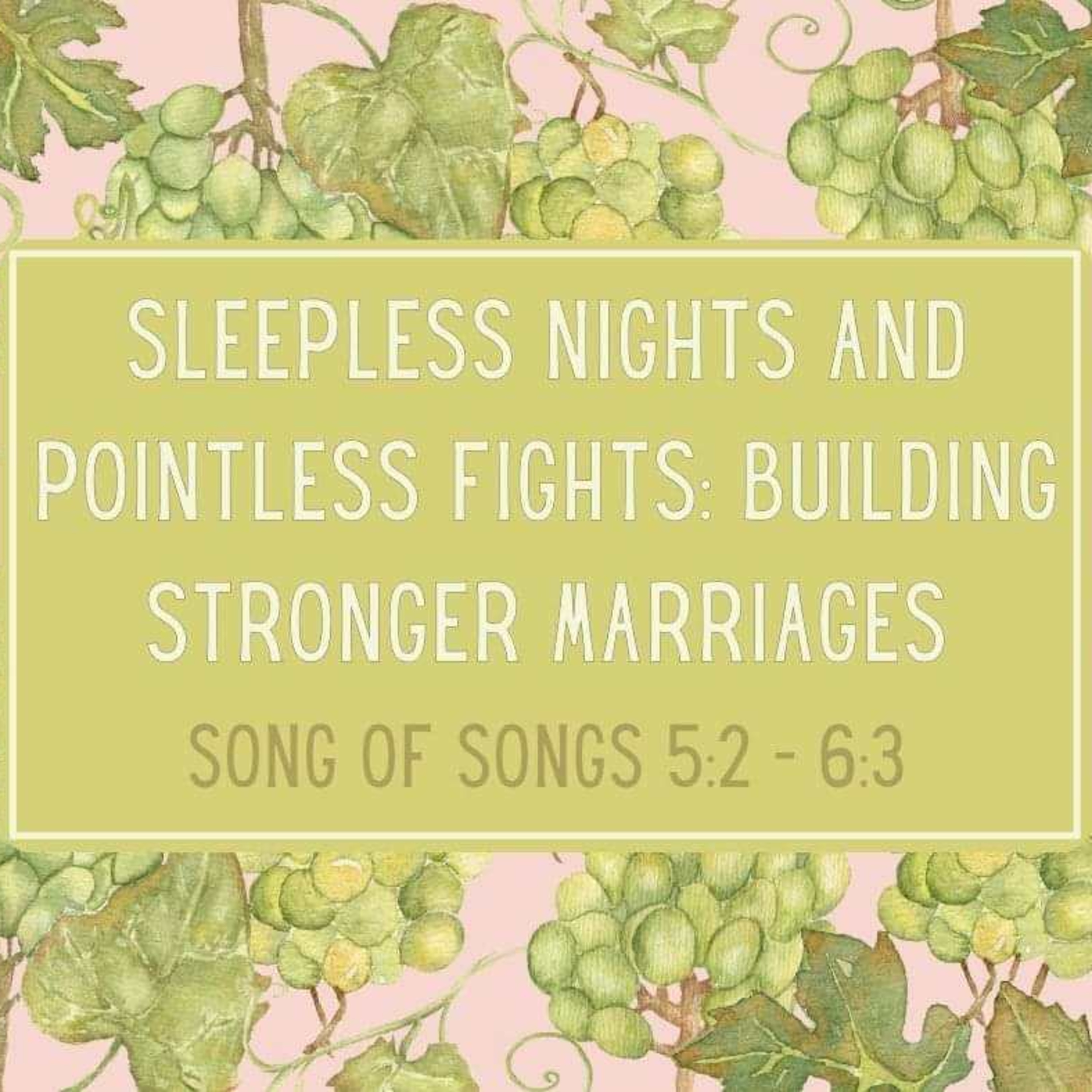 Sermon - Sleepless Nights & Pointless Fights: Building Stronger Marriages - Song of Songs 5:2-6:3 episode artwork