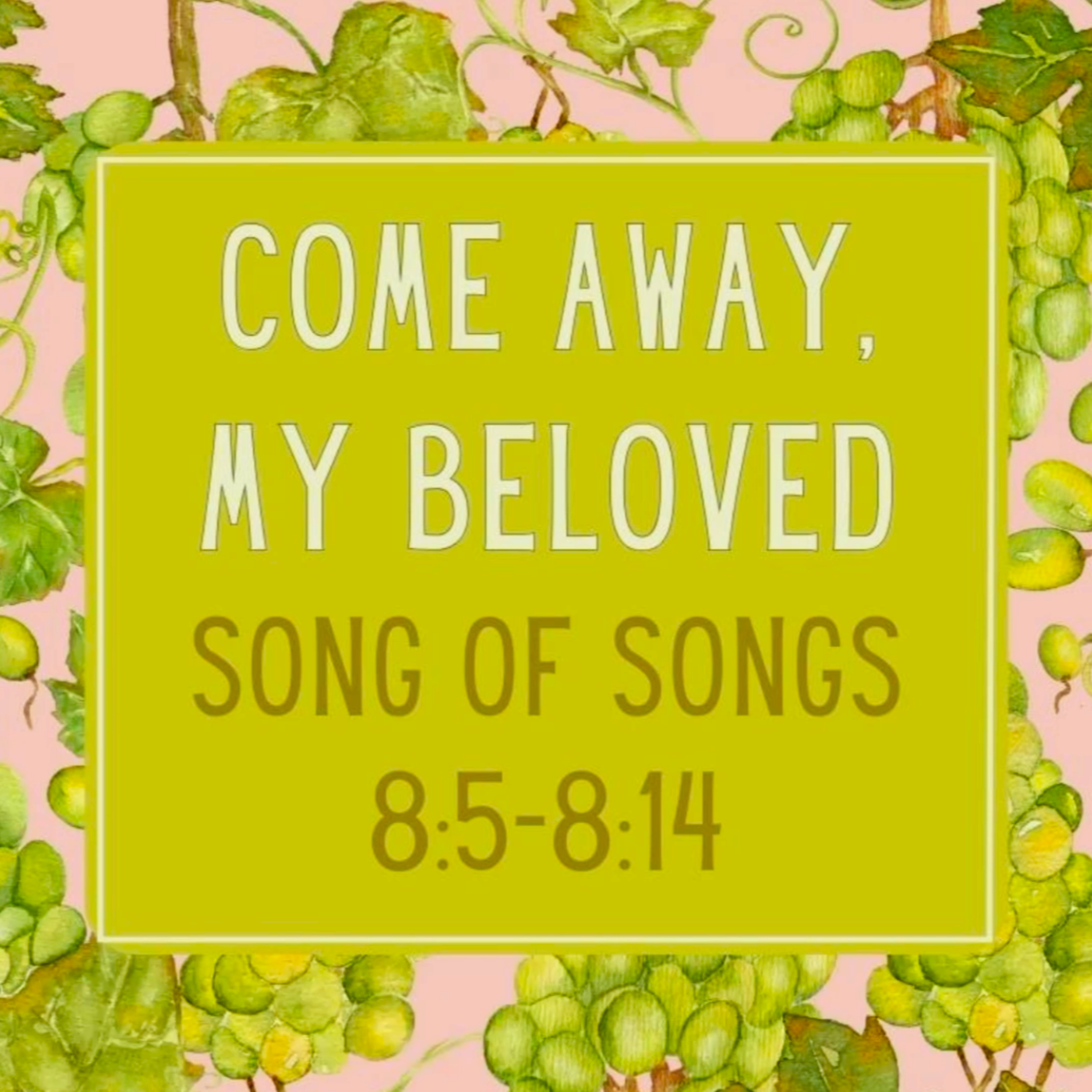 Sermon - Come Away, My Beloved - Song of Songs 8:5-8:14 episode artwork