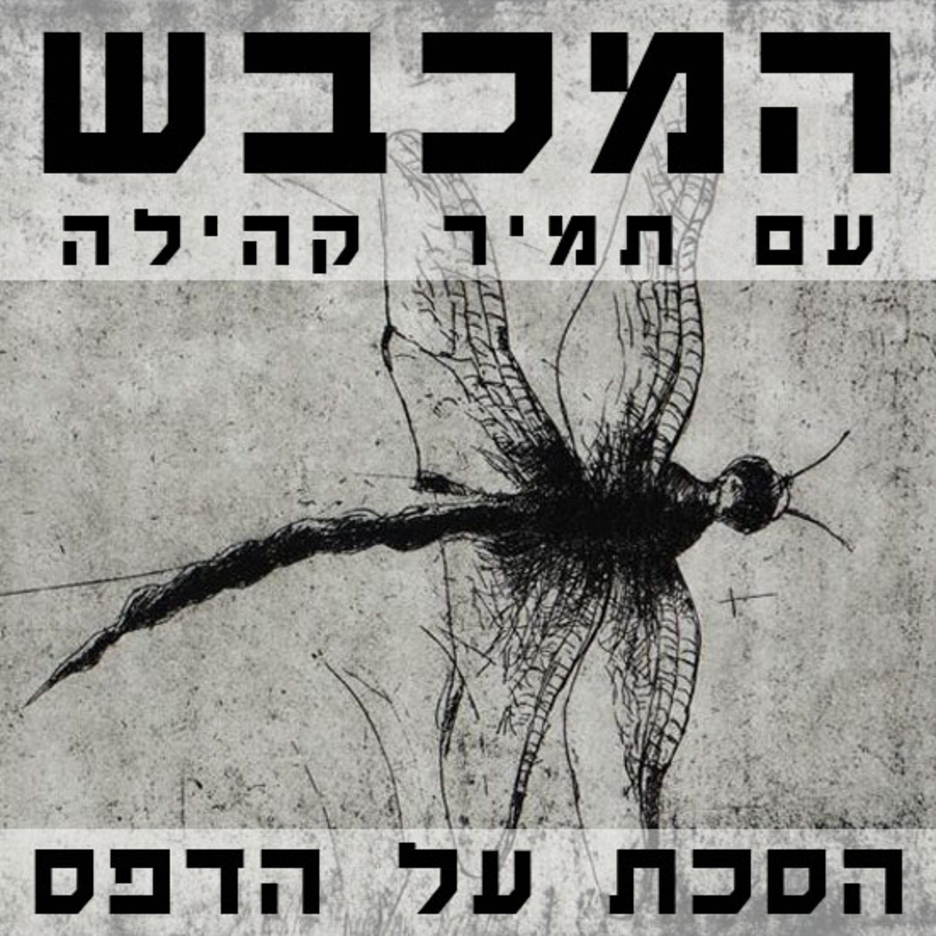 עם אריק קילמניק בסדנת ההדפס ירושלים - פרק 11 episode artwork