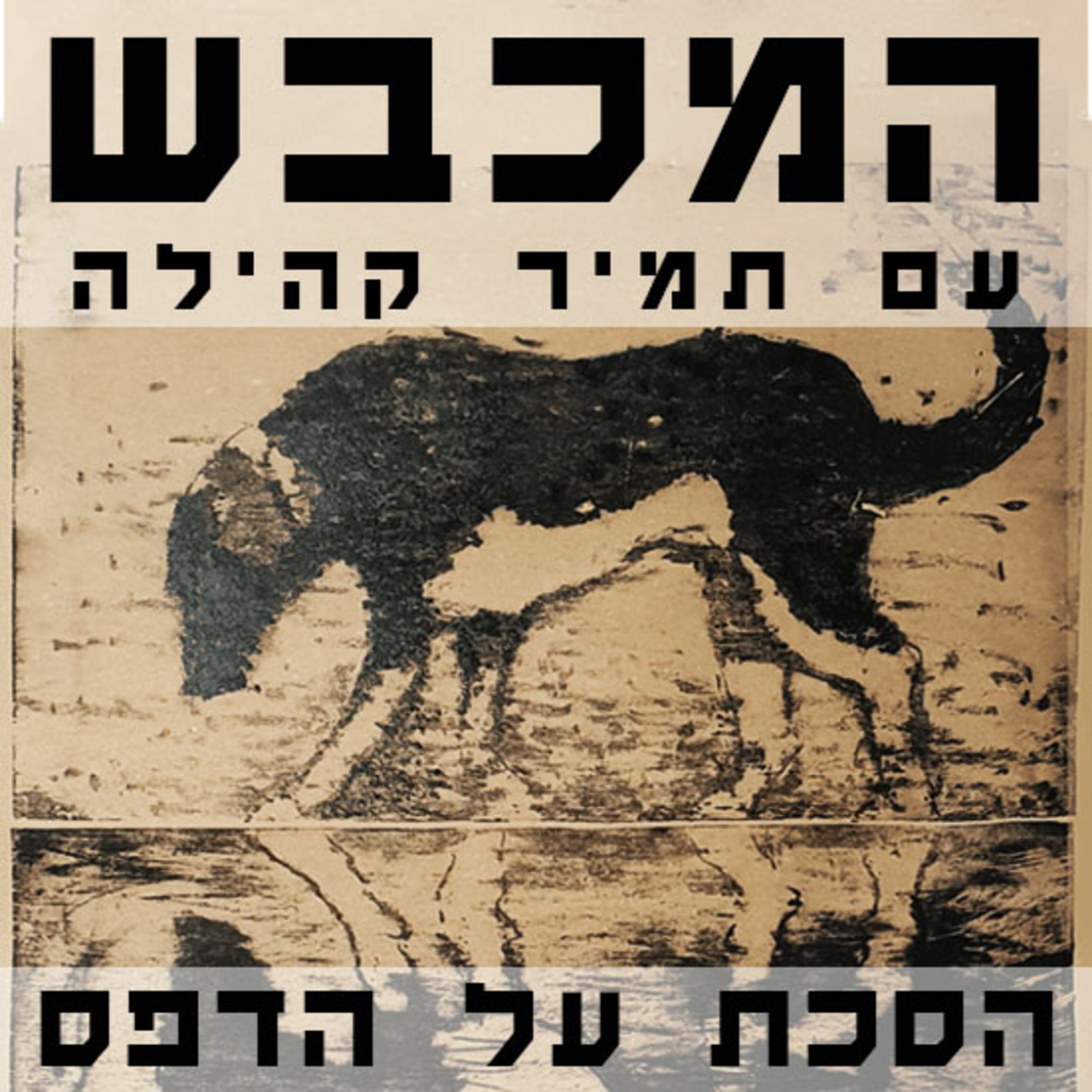 בסטודיו של גד אולמן - פרק 17 episode artwork
